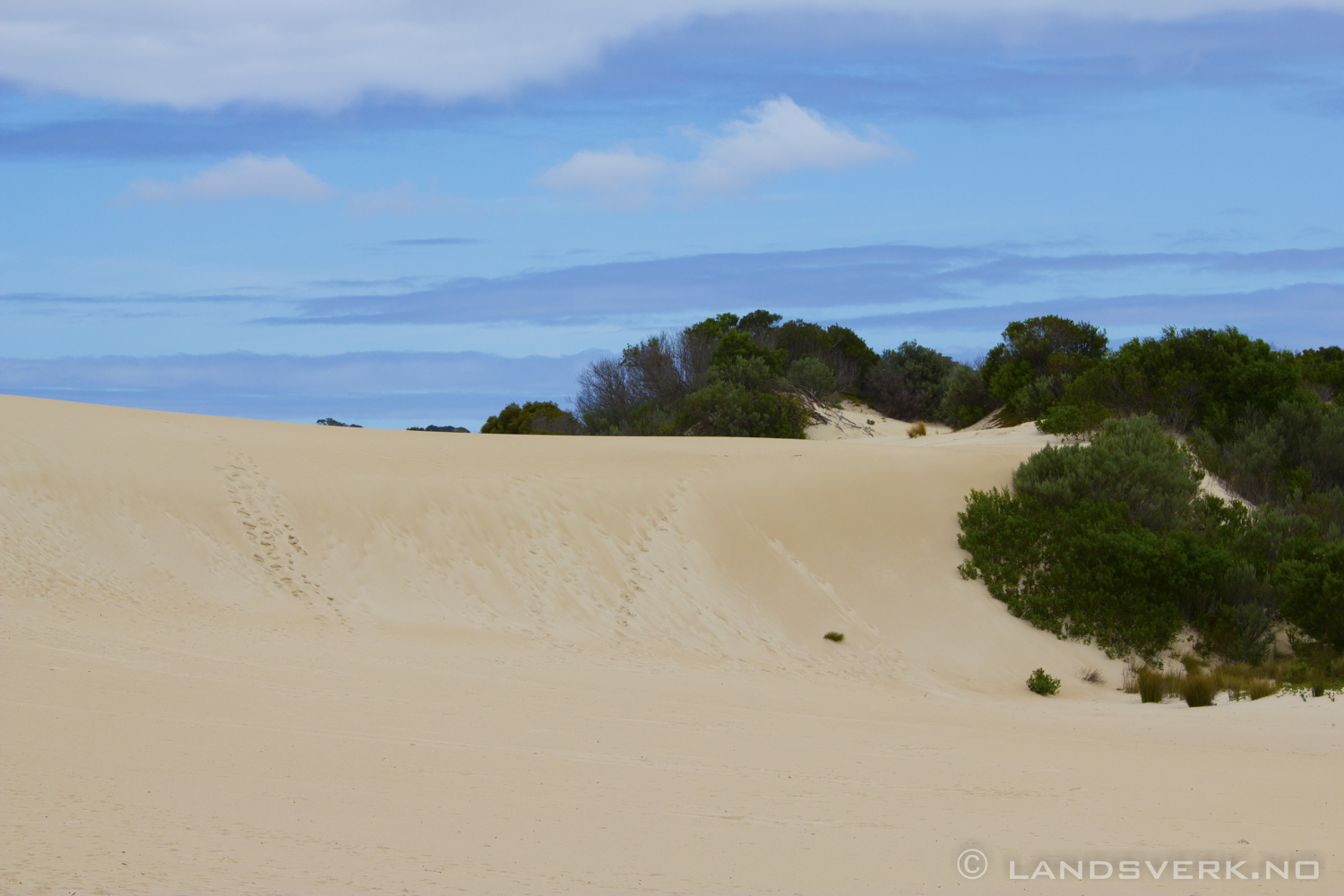 Little Sahara, Kangaroo Island. 

(Canon EOS 550D / Sigma 70-200mm F2.8 OS)