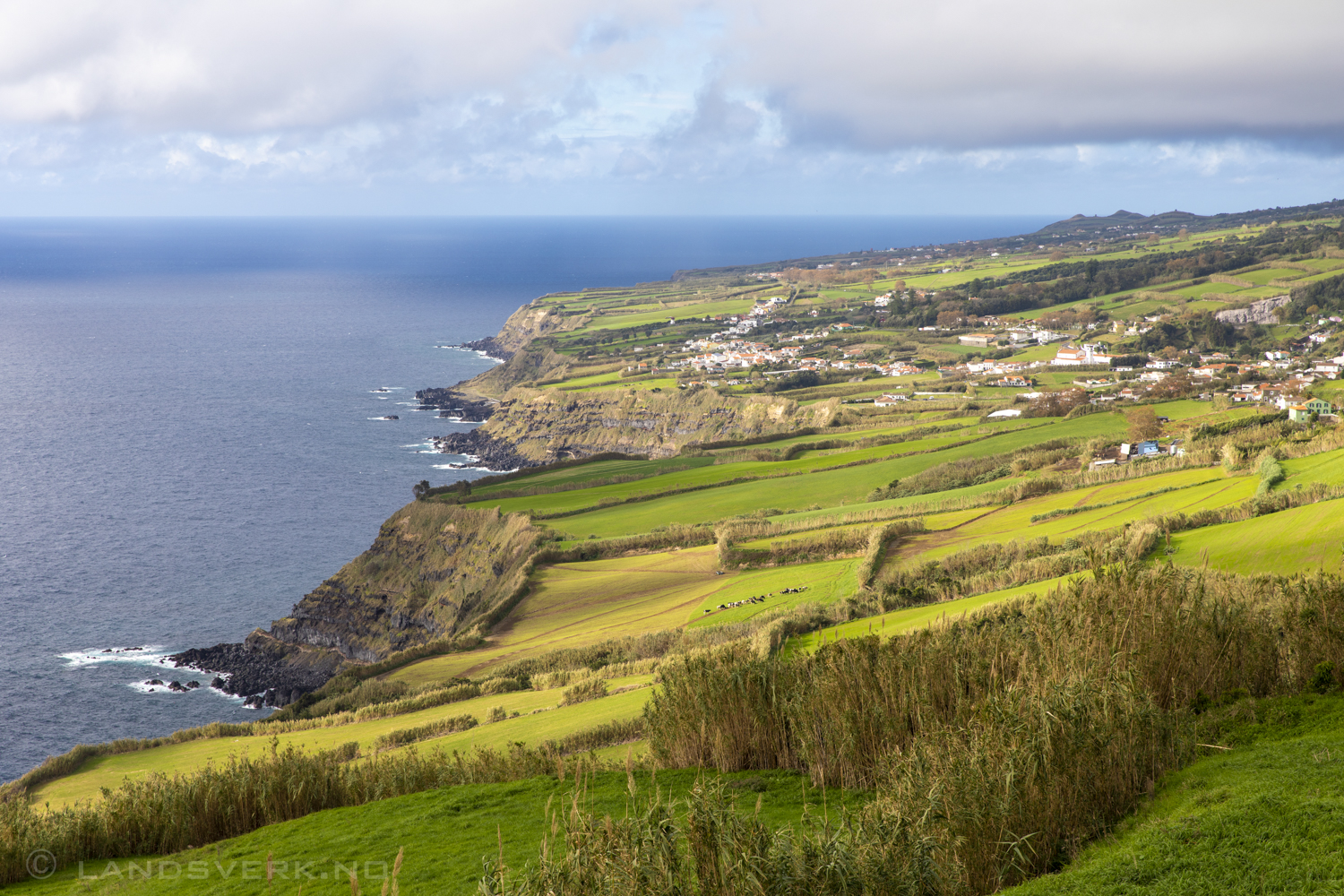 São Miguel, Azores. (Canon EOS 5D Mark IV / Canon EF 24-70mm f/2.8 L II USM)