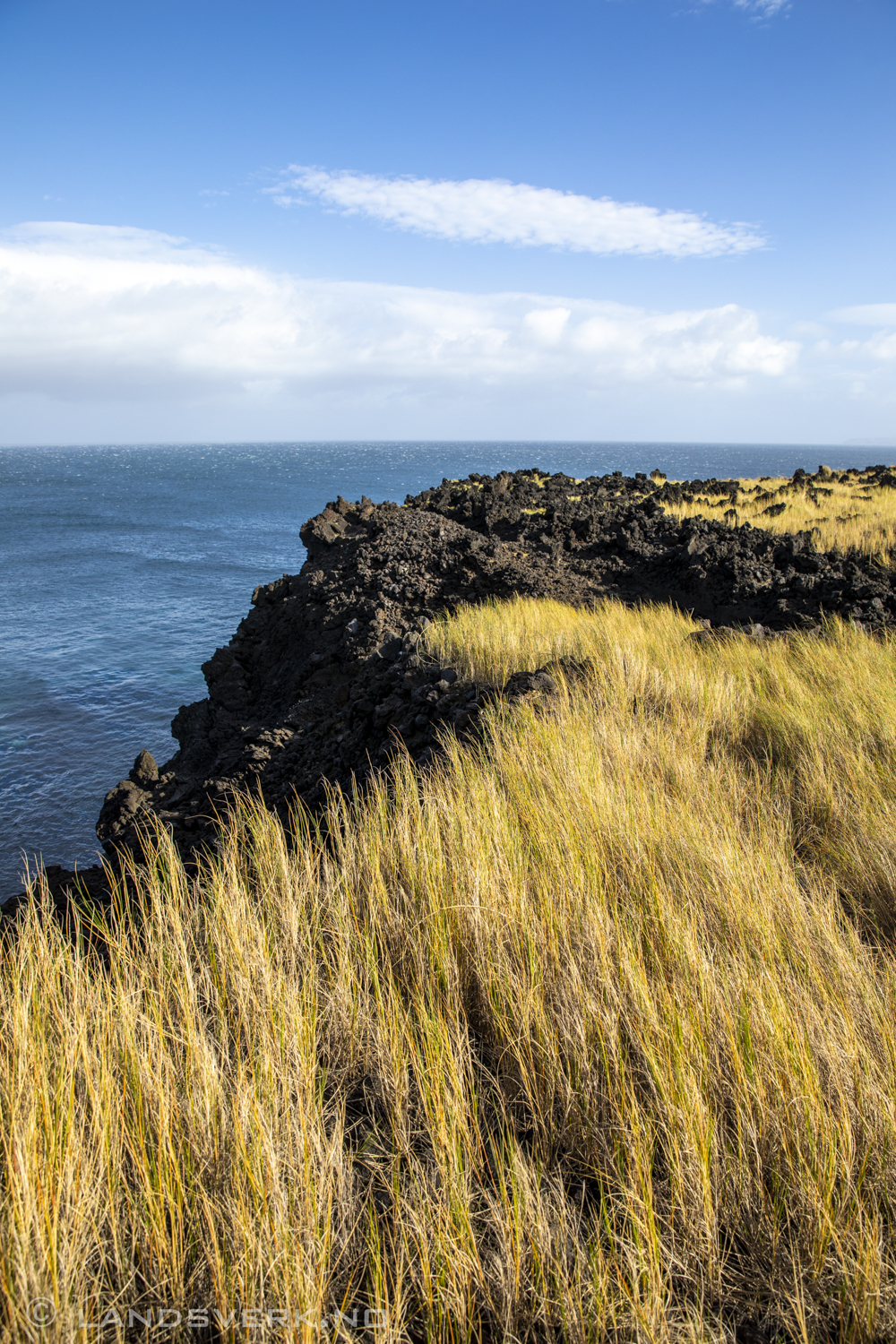 Capelas. São Miguel, Azores. (Canon EOS 5D Mark IV / Canon EF 24-70mm f/2.8 L II USM)