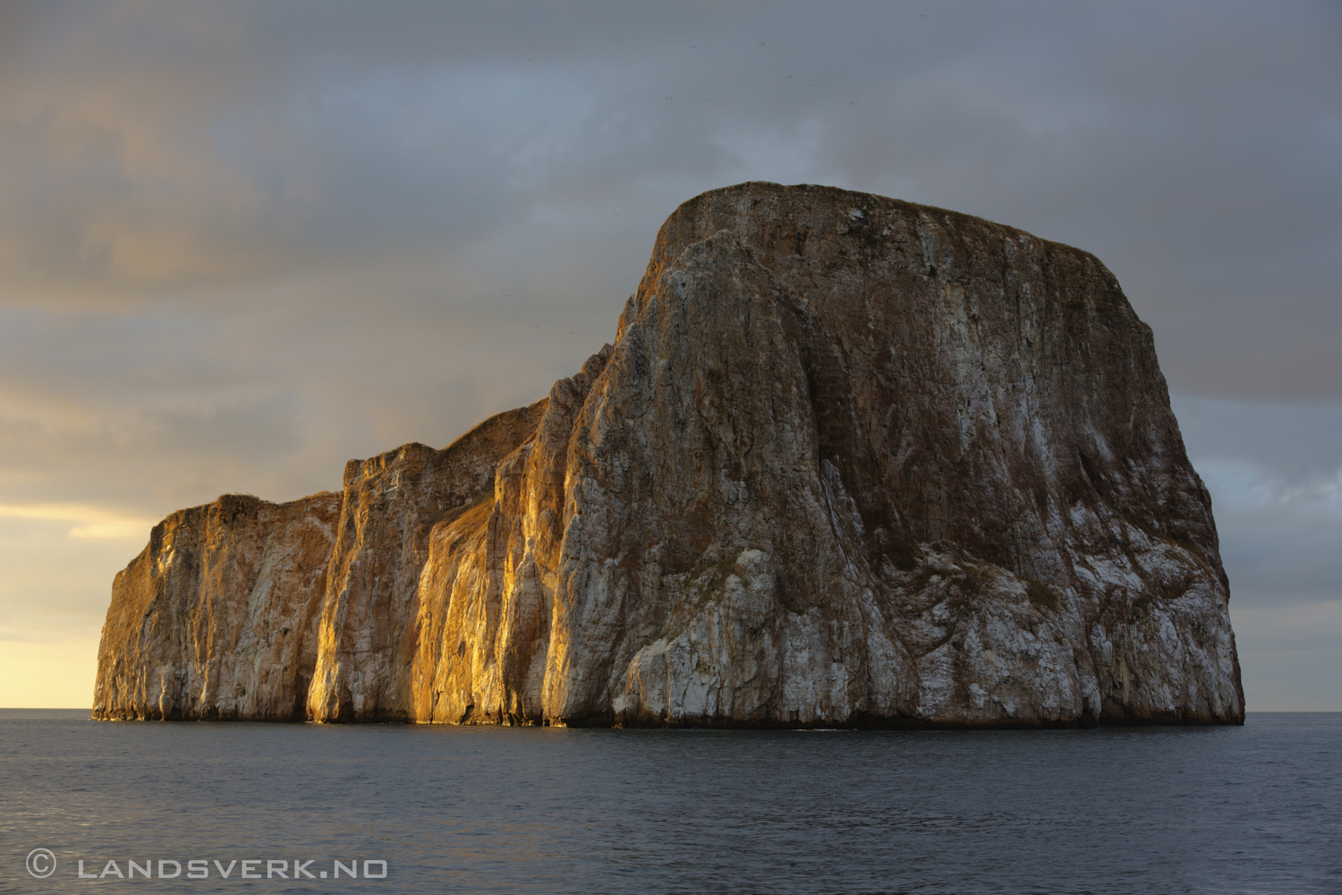 Leon Dormido, San Cristobal, Galapagos. Shark reef! 

(Canon EOS 5D Mark III / Canon EF 70-200mm f/2.8 L IS II USM)