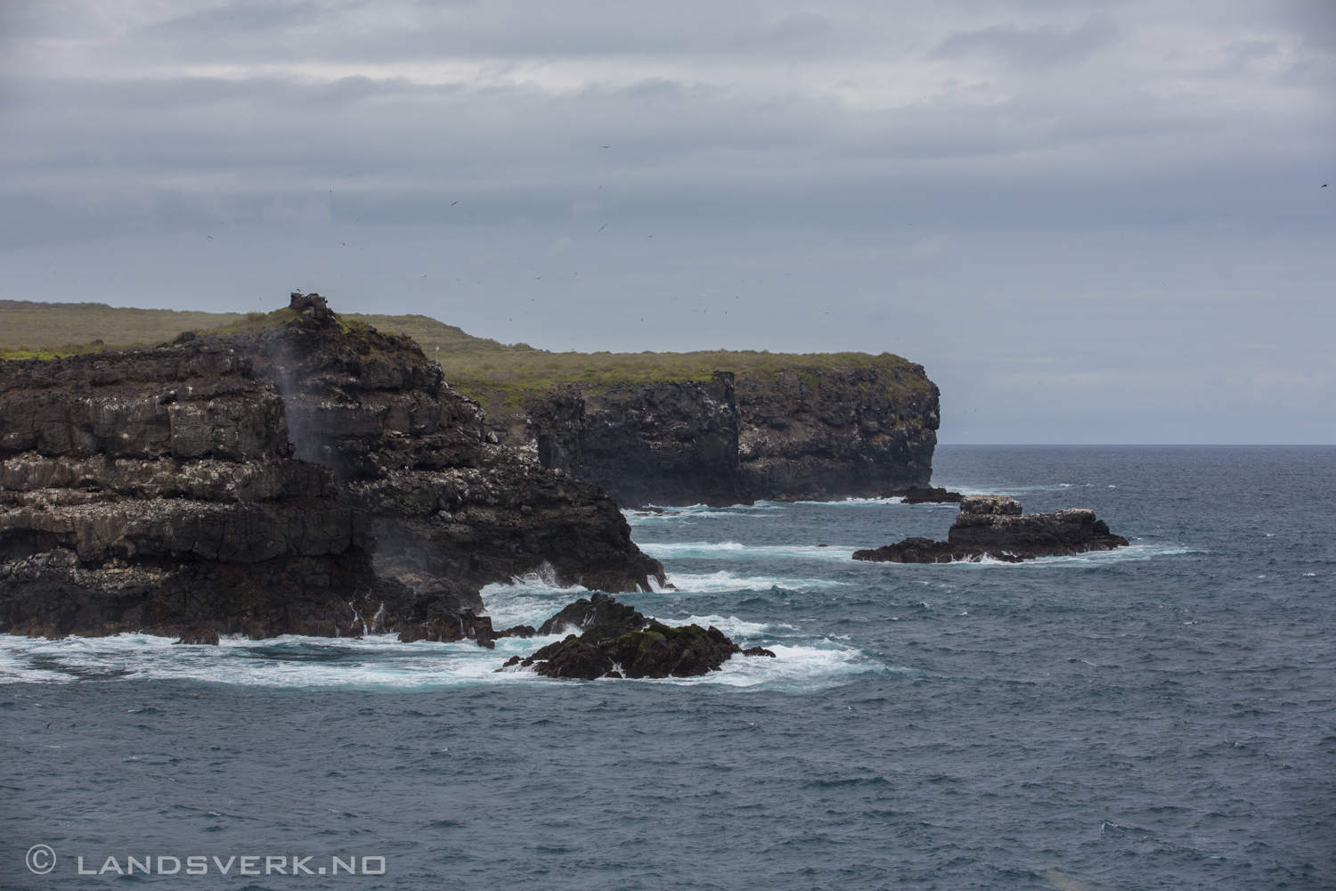 Punta Suarez, Isla Espanola, Galapagos. 

(Canon EOS 5D Mark III / Canon EF 70-200mm f/2.8 L IS II USM)