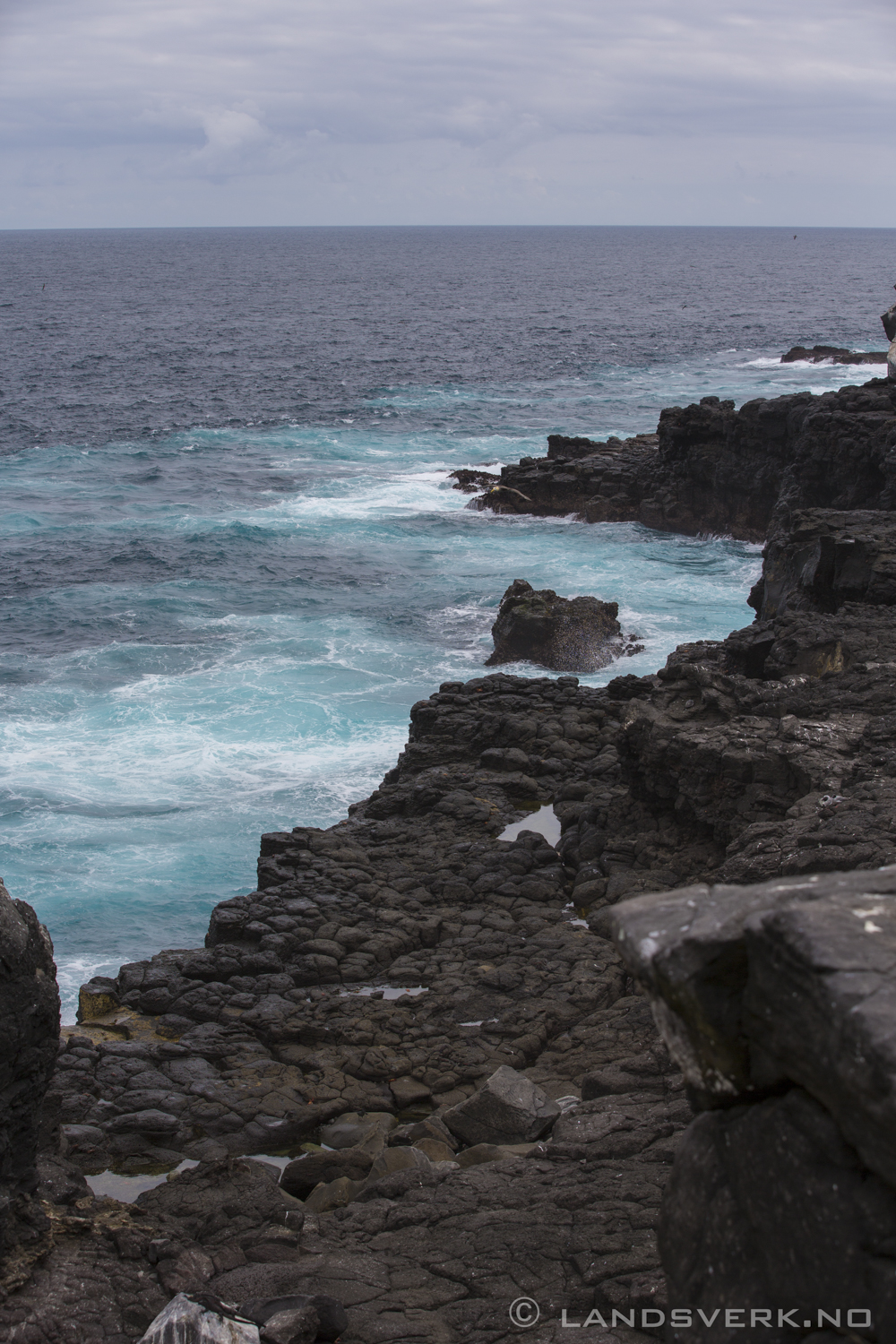 Punta Suarez, Isla Espanola, Galapagos. 

(Canon EOS 5D Mark III / Canon EF 70-200mm f/2.8 L IS II USM)