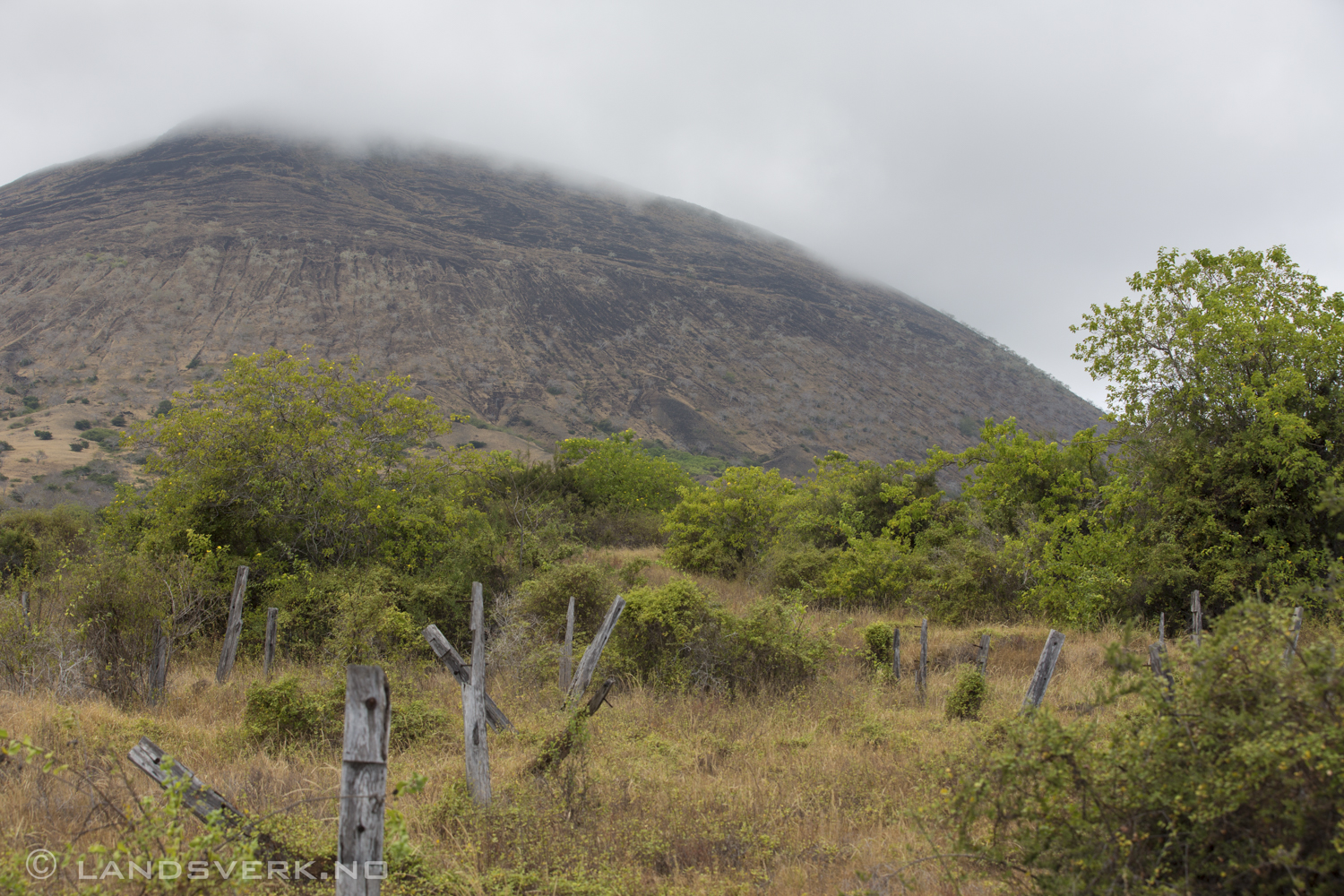 Puerto Egas, Isla Santiago, Galapagos. 

(Canon EOS 5D Mark III / Canon EF 70-200mm f/2.8 L IS II USM)