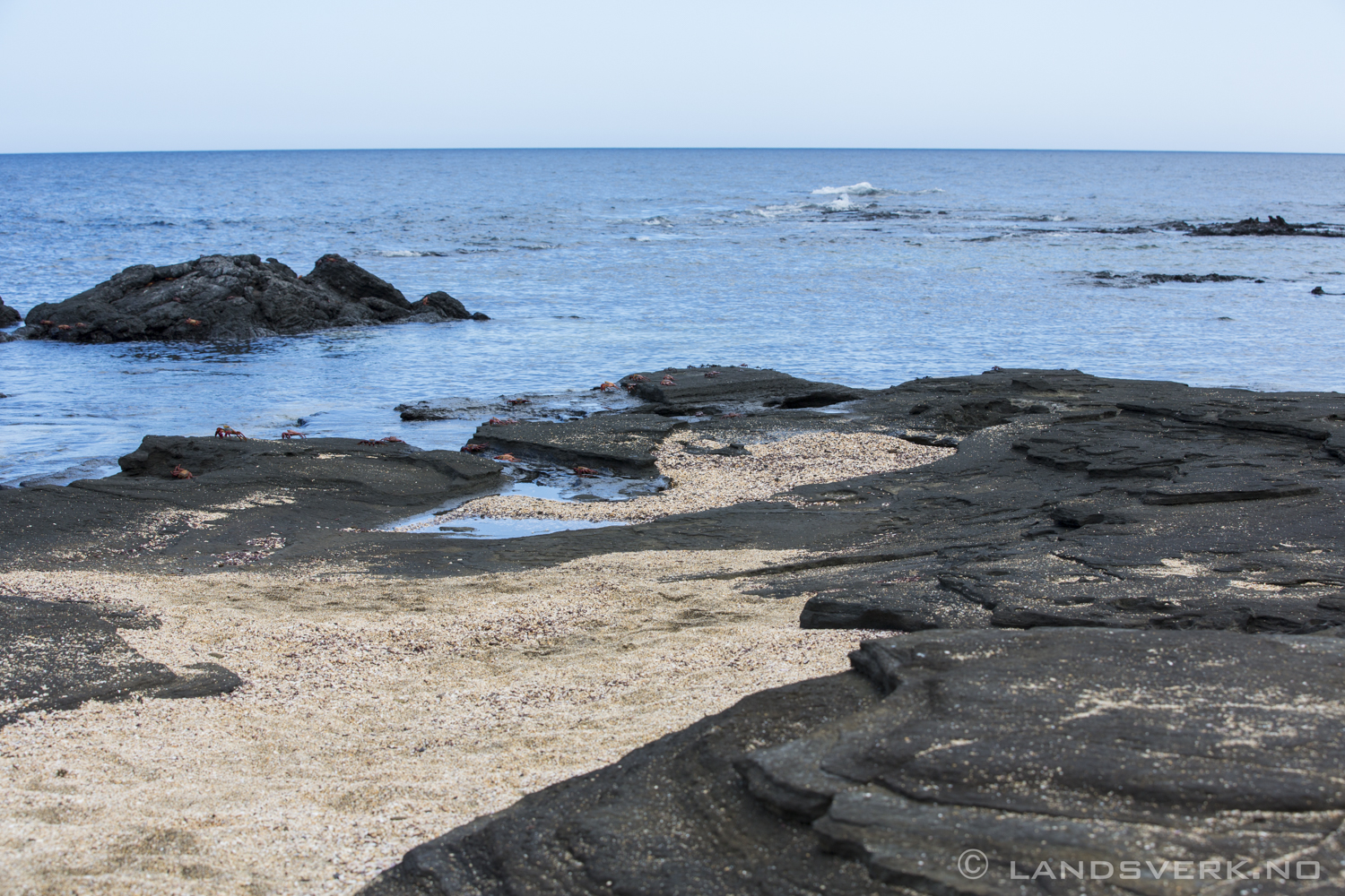 Puerto Egas, Puerto Egas, Isla Santiago, Galapagos. 

(Canon EOS 5D Mark III / Canon EF 70-200mm f/2.8 L IS II USM)