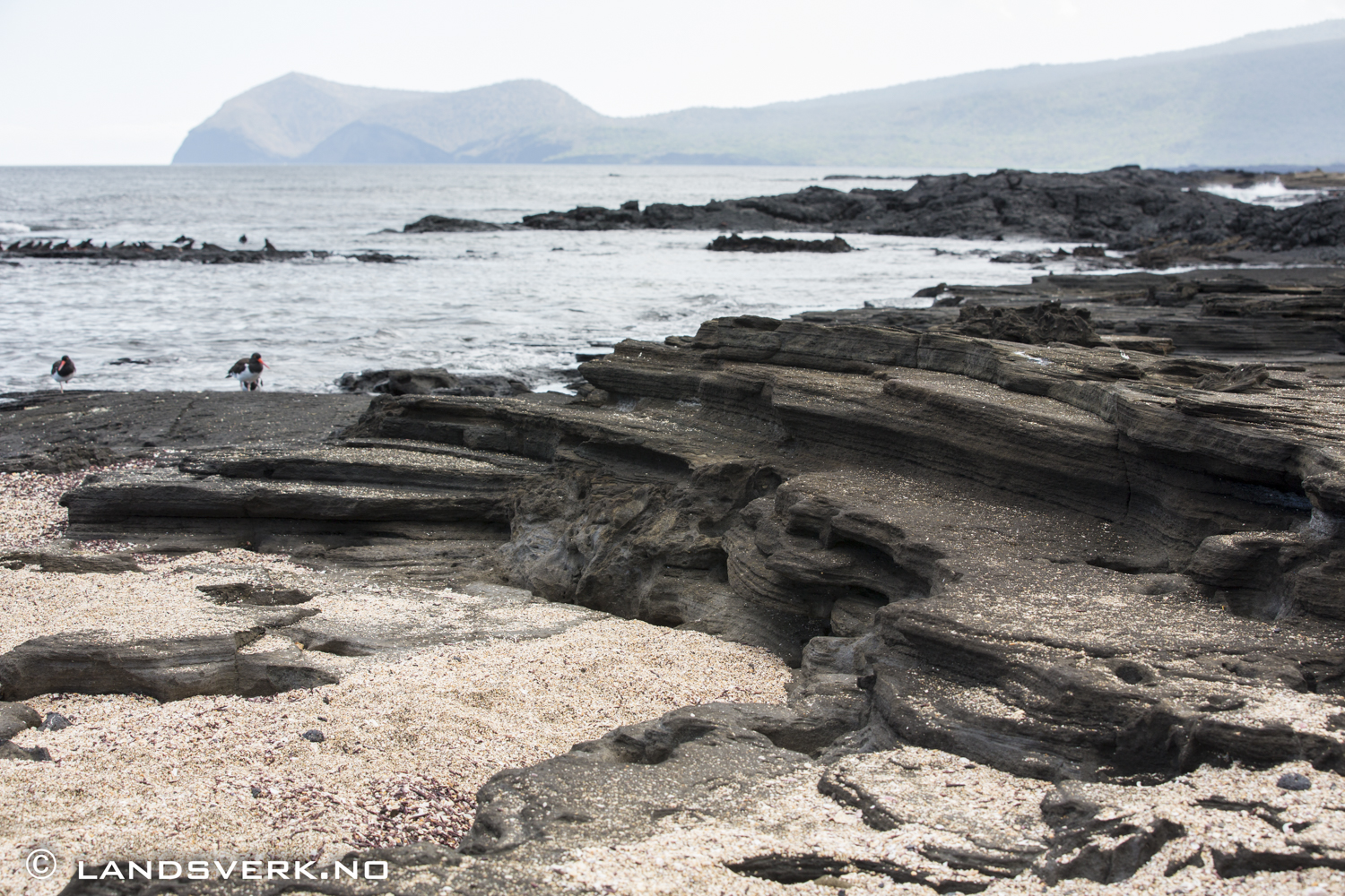 Puerto Egas, Isla Santiago, Galapagos. 

(Canon EOS 5D Mark III / Canon EF 70-200mm f/2.8 L IS II USM)