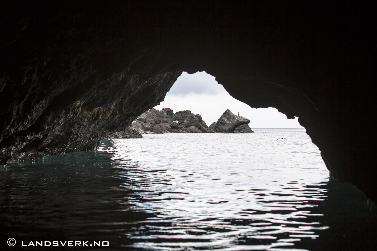 Bucaneer Cove, Isla Santiago, Galapagos. 

(Canon EOS 5D Mark III / Canon EF 70-200mm f/2.8 L IS II USM)