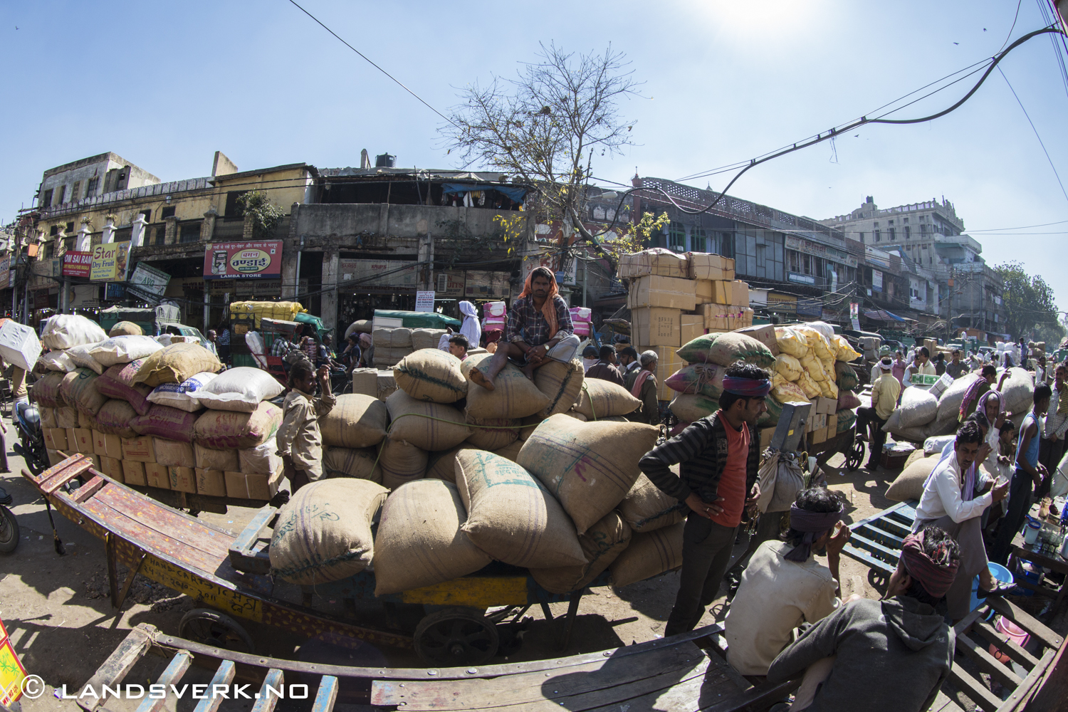Old Delhi, India. 

(Canon EOS 5D Mark III / Canon EF 8-15mm f/4 L USM Fisheye)
