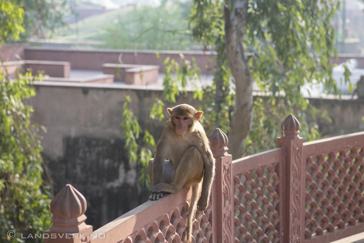 Agra, India. 

(Canon EOS 5D Mark III / Canon EF 24-70mm f/2.8 L USM)
