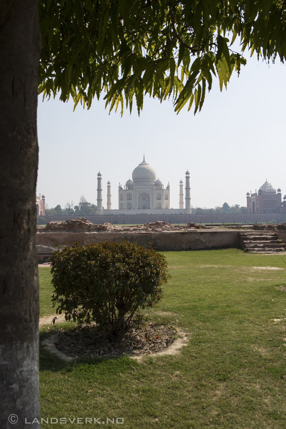 Taj Mahal seen from Mehtab Bagh. Agra, India. 

(Canon EOS 5D Mark III / Canon EF 24-70mm f/2.8 L USM)