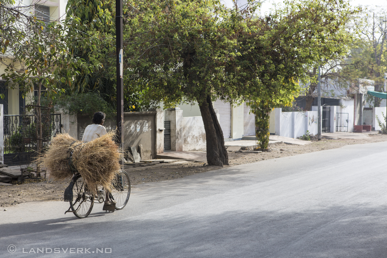 Udaipur, India. 

(Canon EOS 5D Mark III / Canon EF 24-70mm f/2.8 L USM)