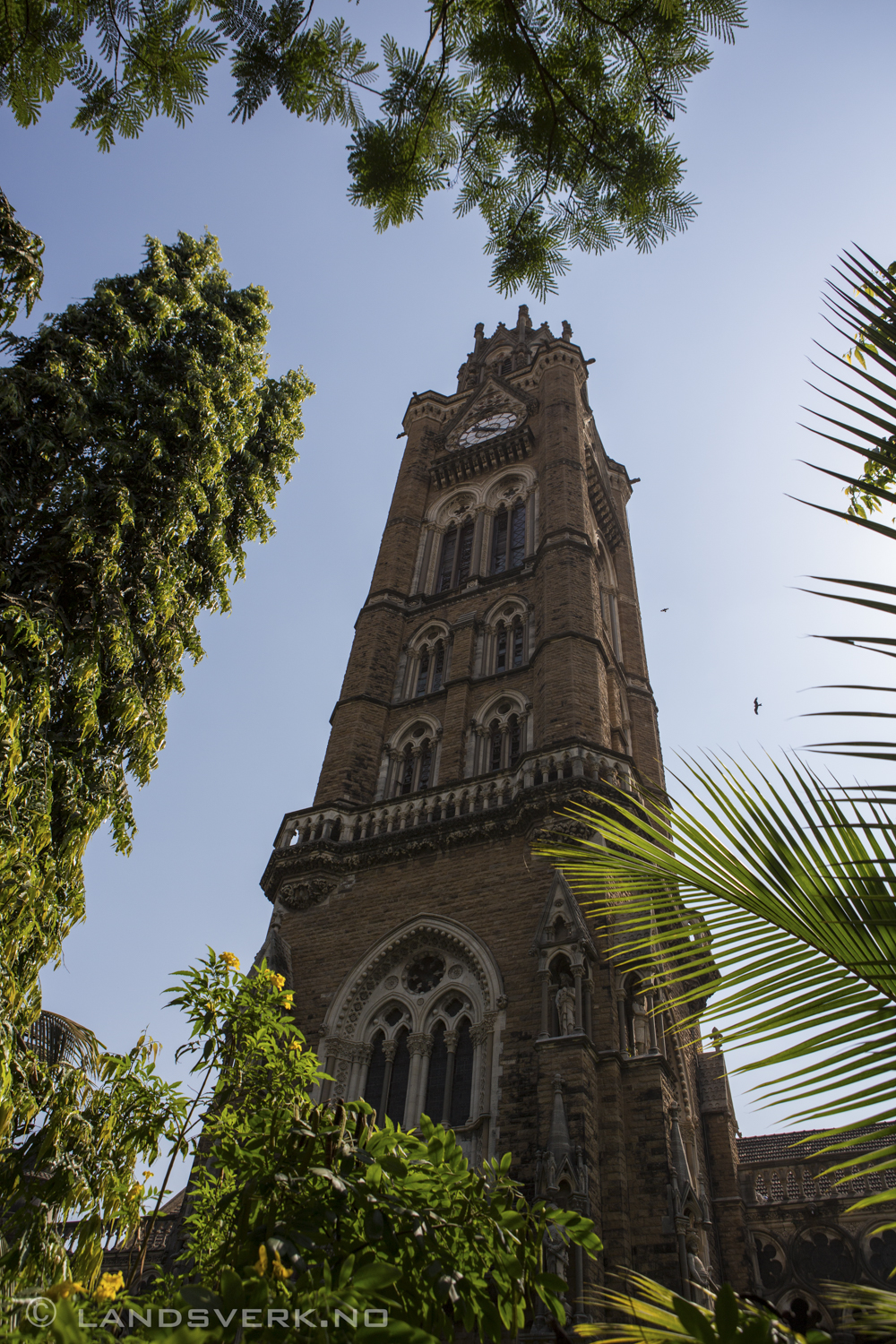 Mumbai, India. 

(Canon EOS 5D Mark III / Canon EF 24-70mm 
f/2.8 L USM)