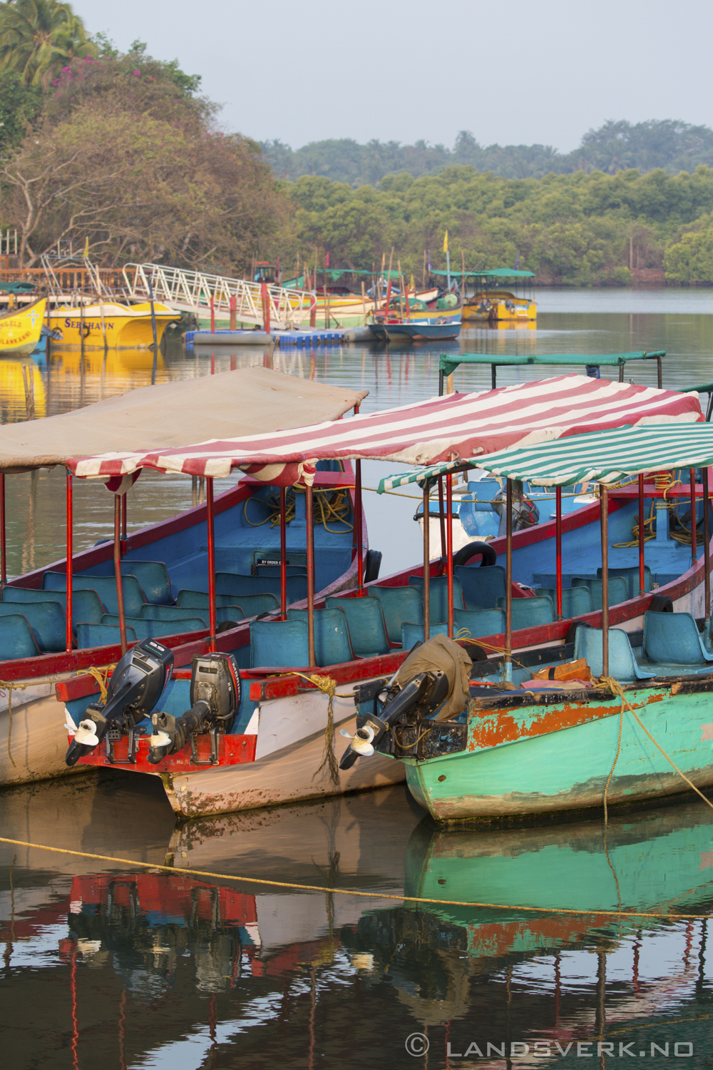 Goa, India. 

(Canon EOS 5D Mark III / Canon EF 70-200mm f/2.8 L IS II USM / Canon 2x EF Extender III)
