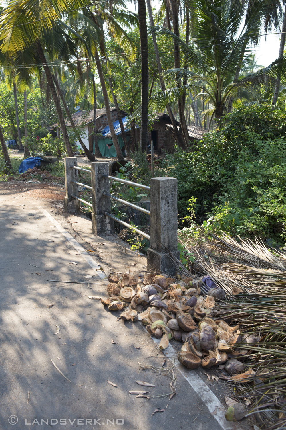 Goa, India. 

(Canon EOS 5D Mark III / Canon EF 24-70mm f/2.8 L USM)