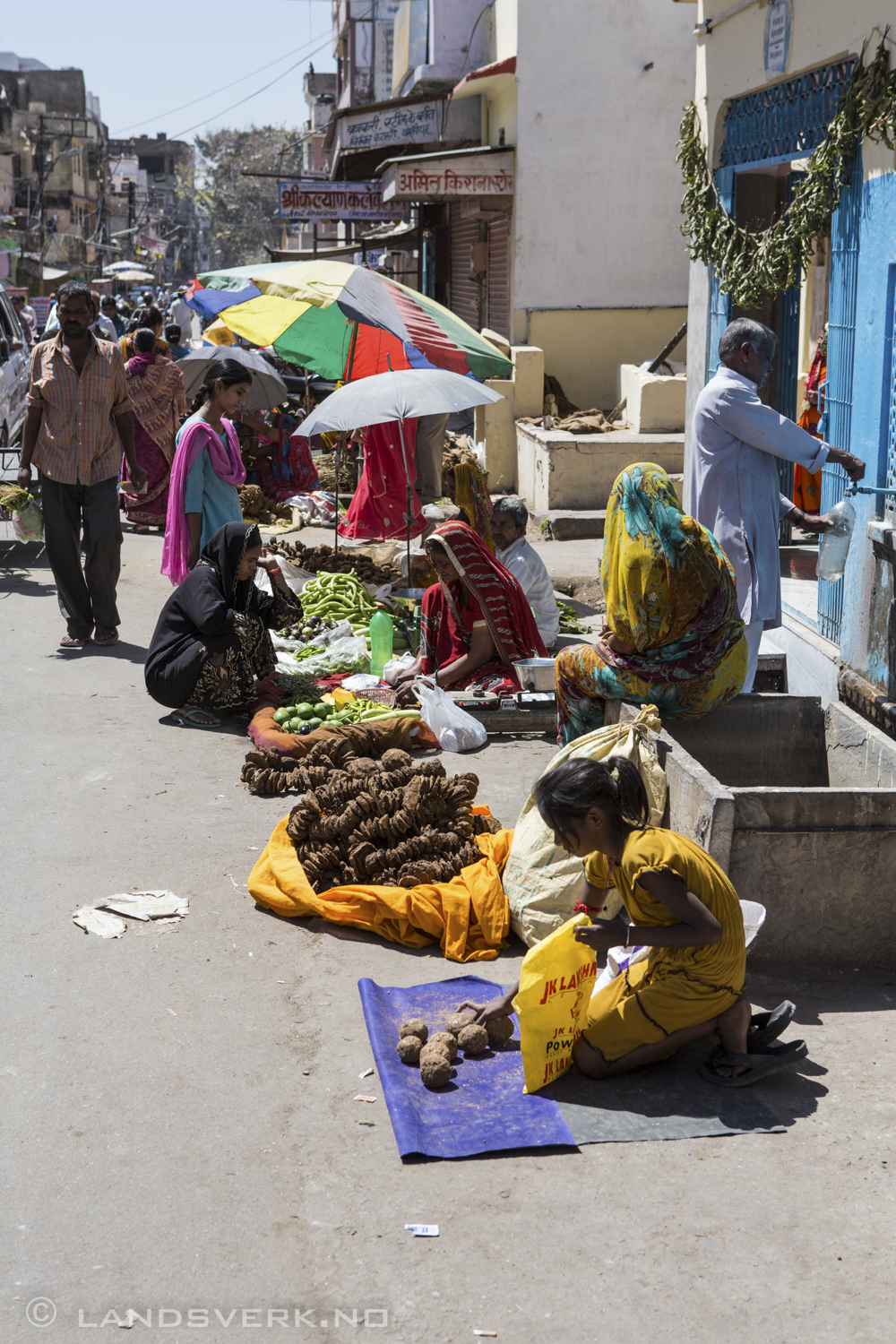 Sun dried cow dung anyone? Jaipur, India. 

(Canon EOS 5D Mark III / Canon EF 24-70mm f/2.8 L USM)