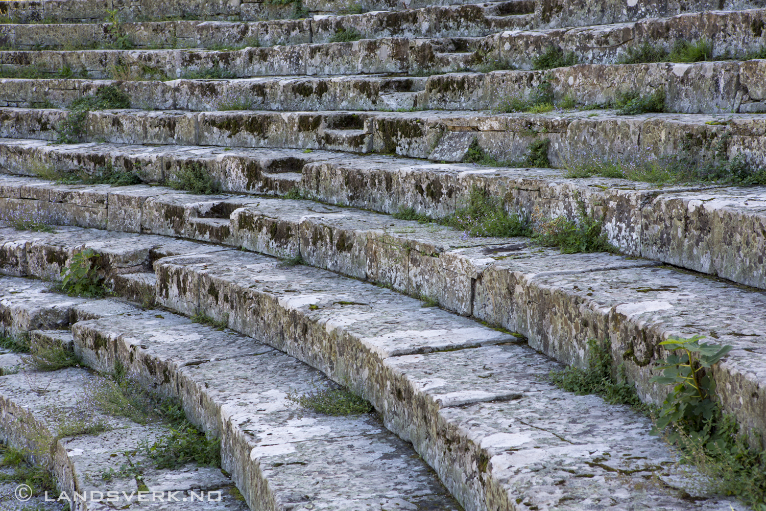 Anfiteatro Romano, Fiesole, Italy. 

(Canon EOS 5D Mark III / Canon EF 24-70mm f/2.8 L USM)