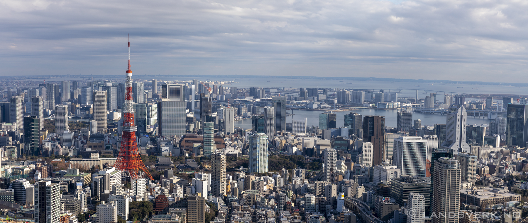 Tokyo, Japan. 

(Canon EOS 5D Mark IV / Canon EF 24-70mm f/2.8 L II USM)