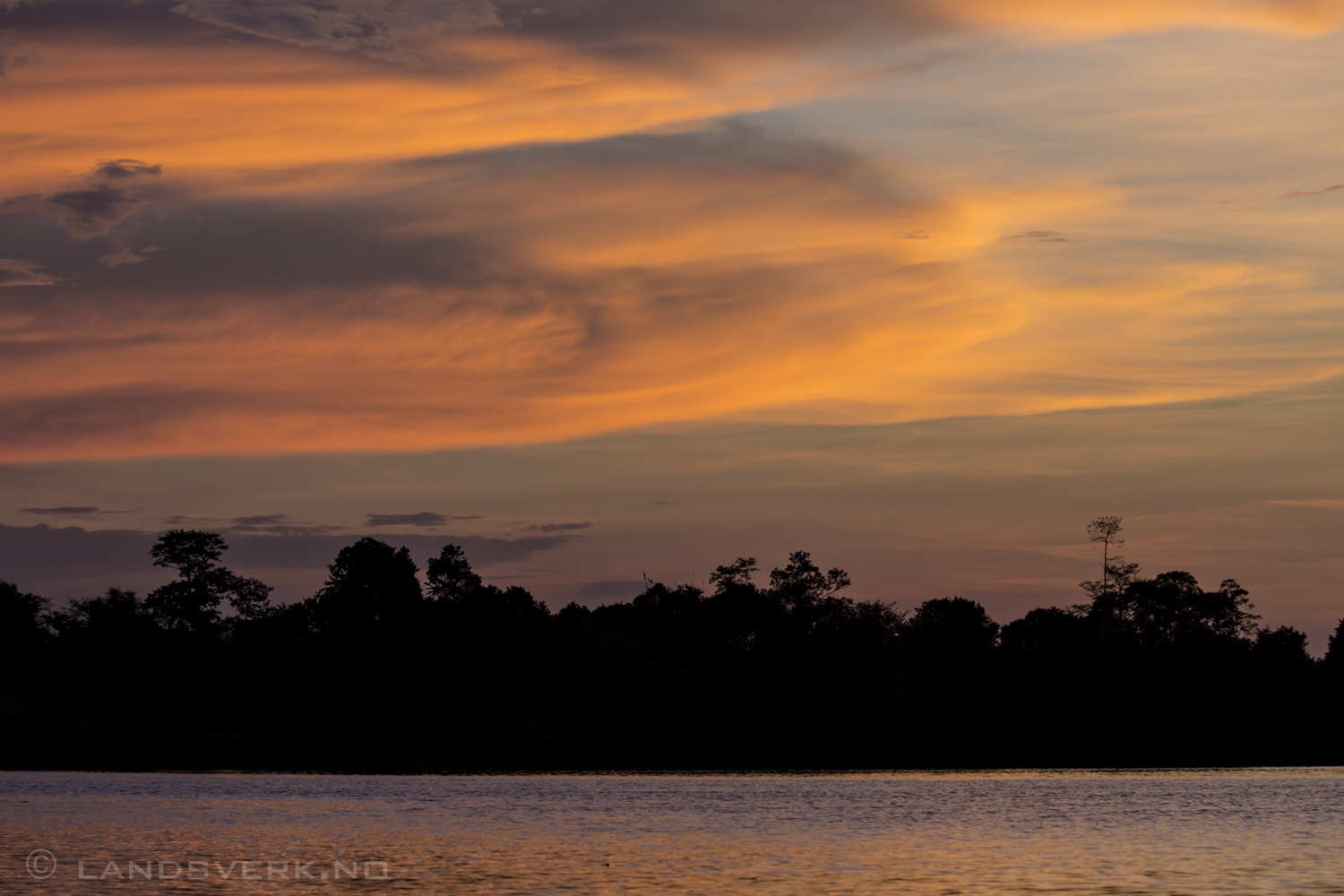 Sunset over the Sukau rainforest. Sukau, Borneo.

(Canon EOS 5D Mark III / Canon EF 70-200mm f/2.8 L IS II USM / Canon 2x EF Extender III)