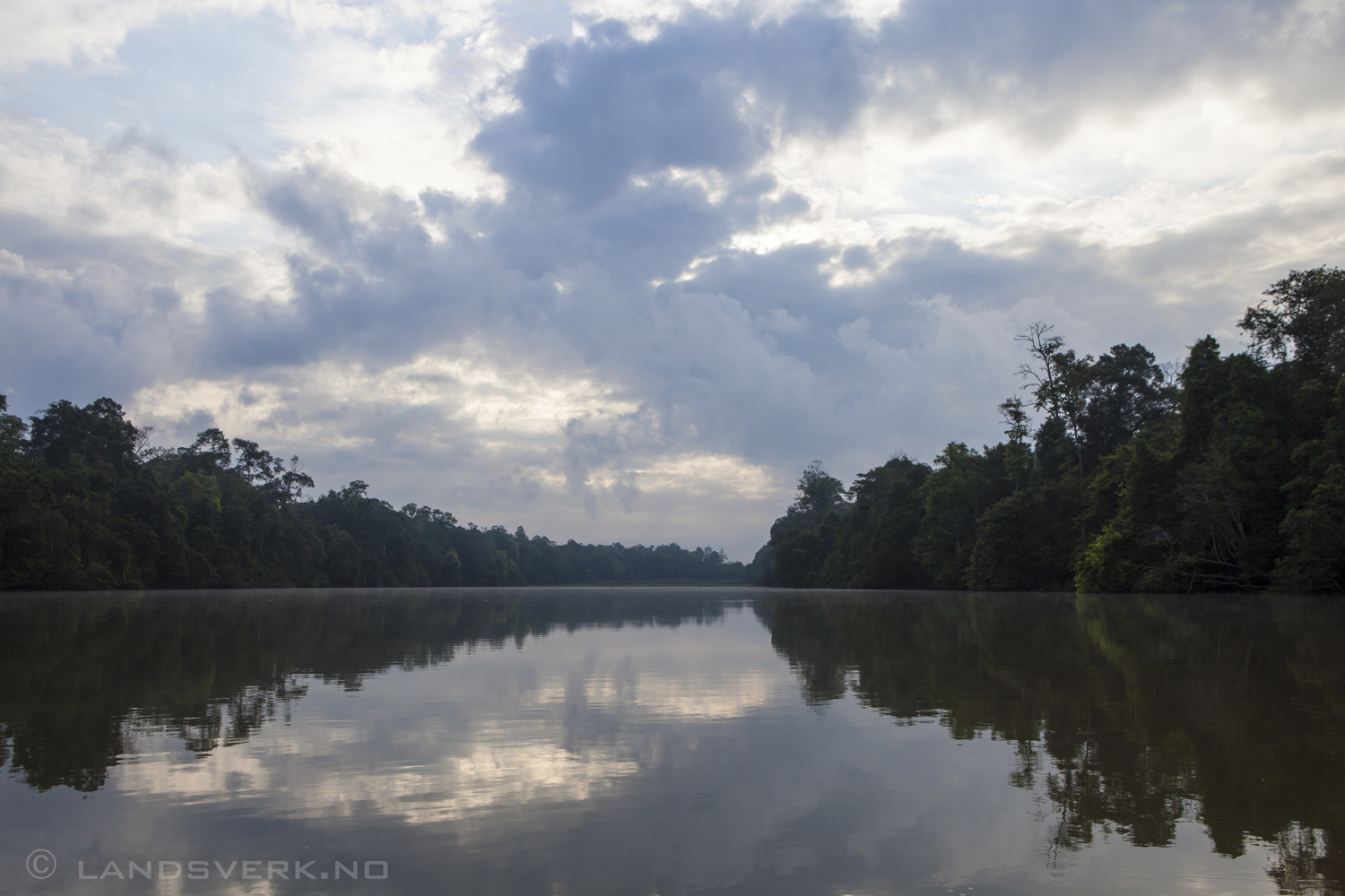The Sukau rainforest. Sukau, Borneo.

(Canon EOS 5D Mark II / Canon EF 24-70mm f/2.8 L USM)