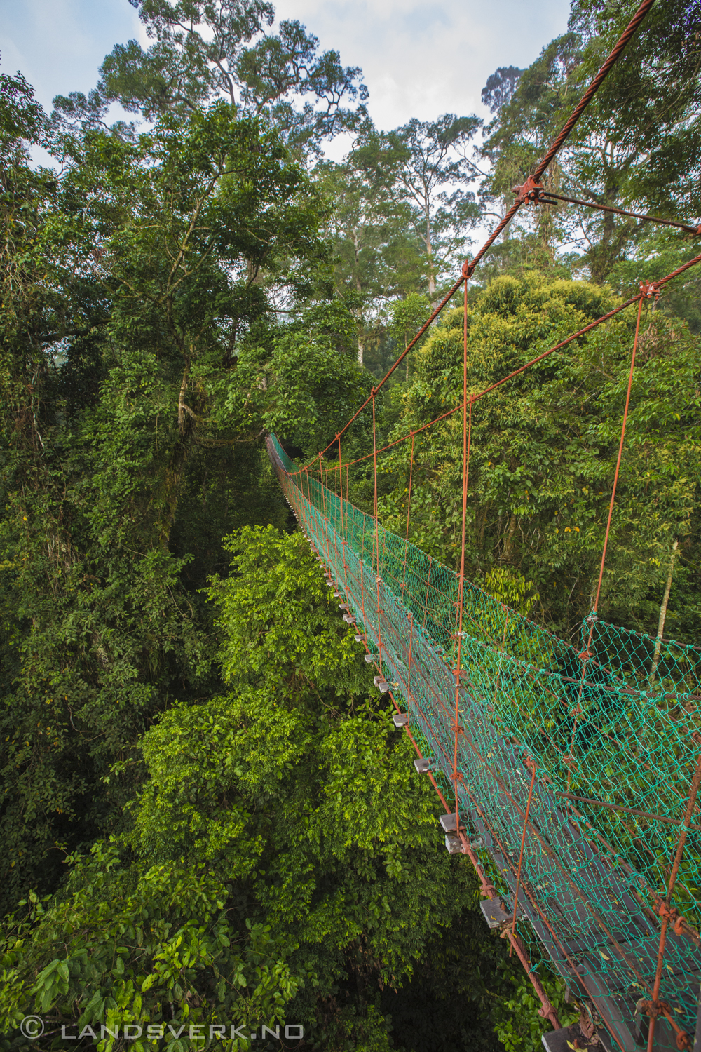 A canopy walk in Danum Valley, Borneo.

(Canon EOS 5D Mark III / Canon EF 16-35mm f/2.8 L II USM)