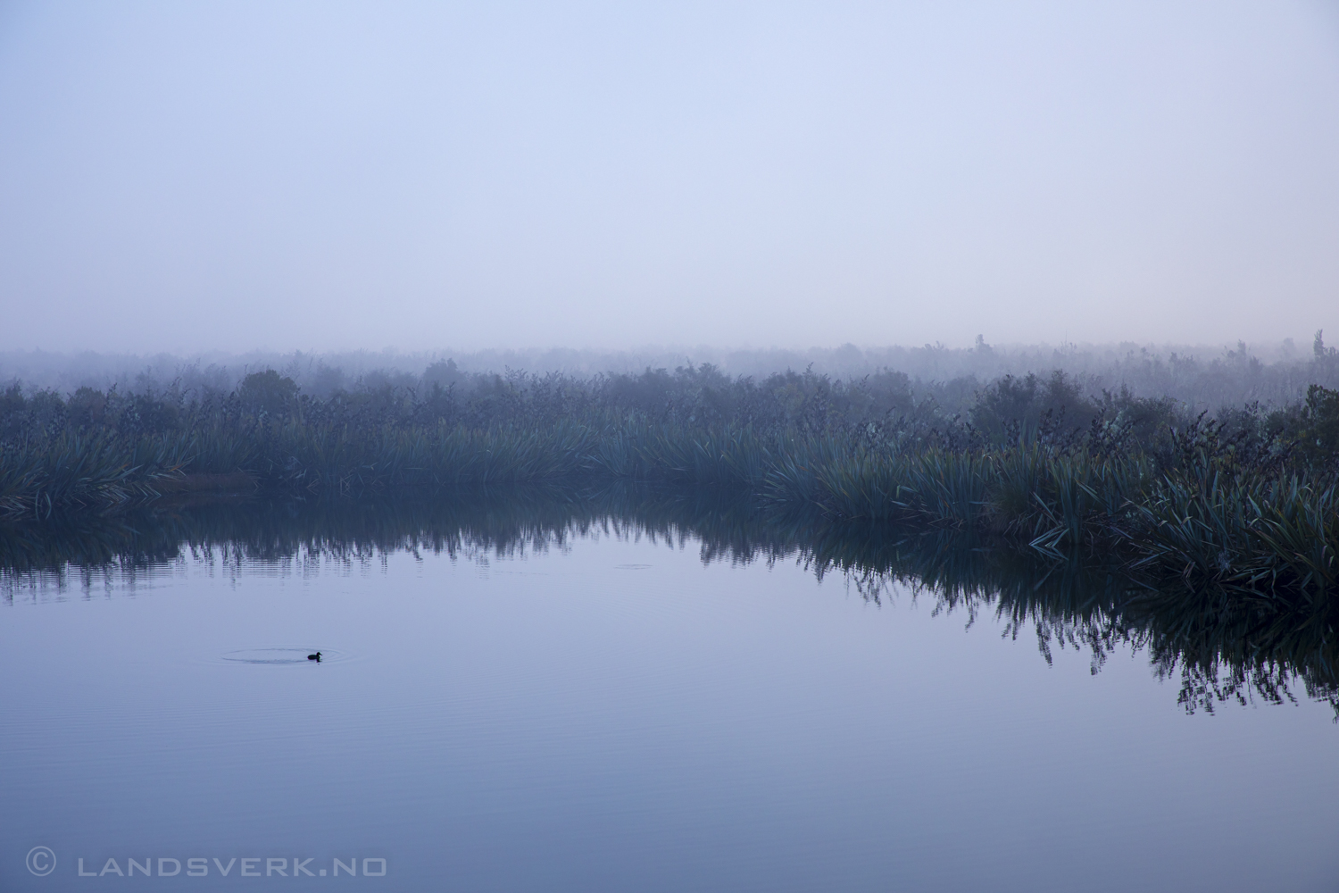 Mirror Lakes, Te Anau, New Zealand. 

(Canon EOS 5D Mark IV / Canon EF 24-70mm f/2.8 L II USM)