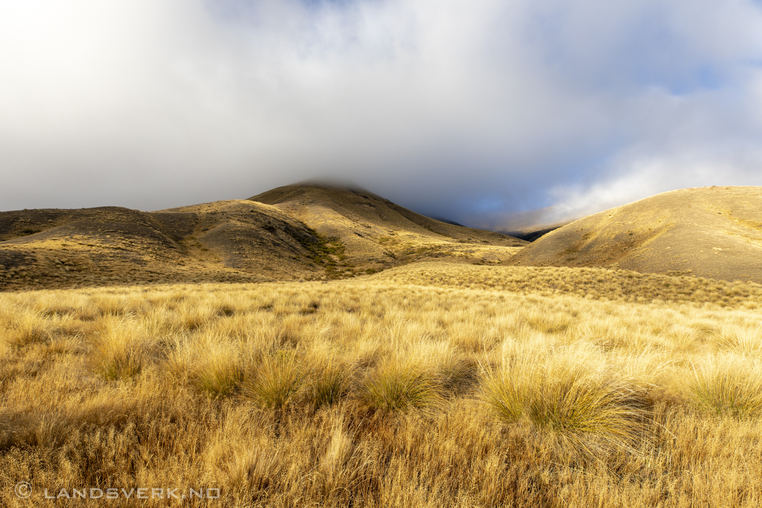 Lindis Valley, New Zealand. 

(Canon EOS 5D Mark IV / Canon EF 16-35mm f/2.8 L III USM)