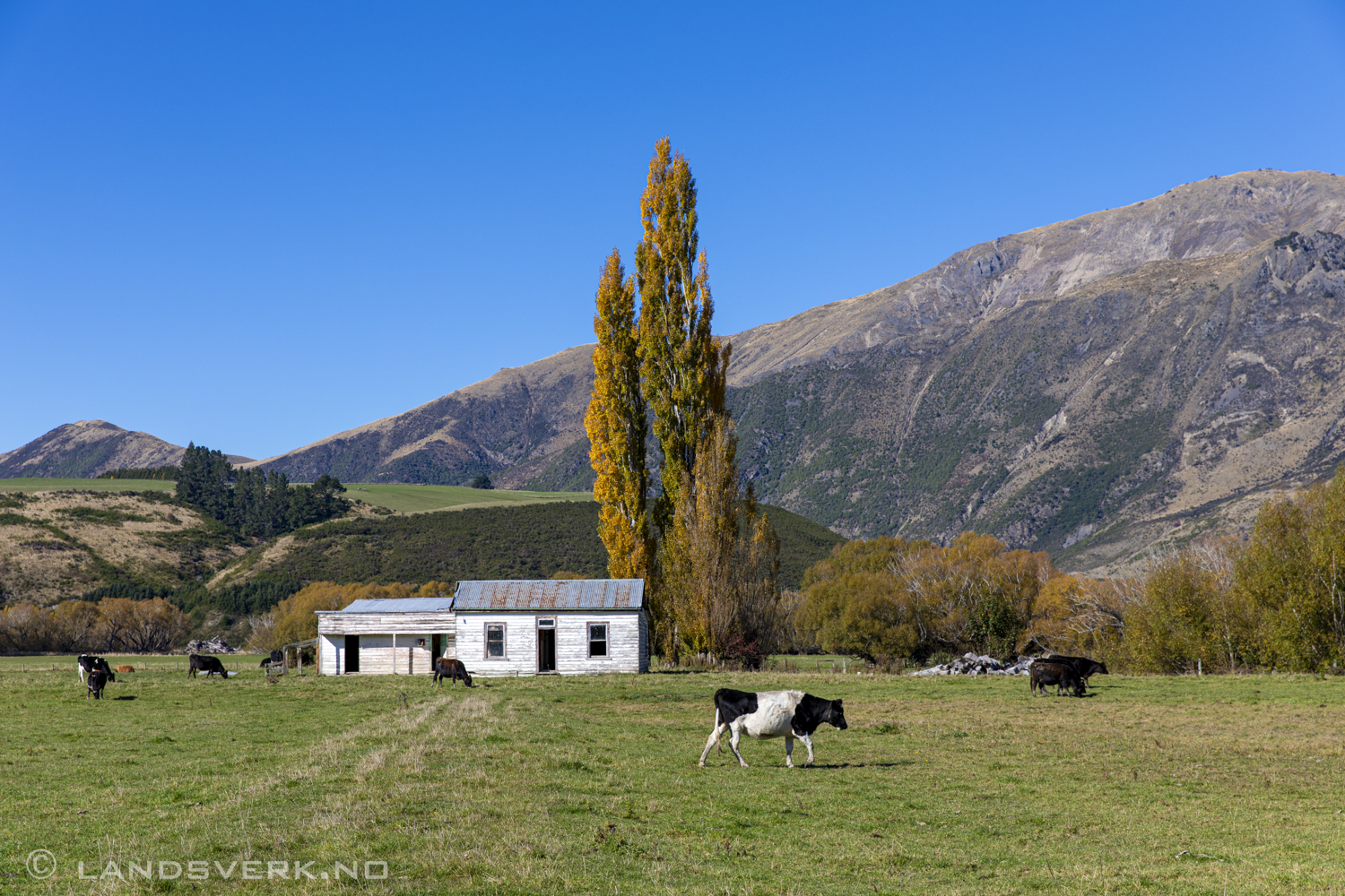 Somewhere along the roads to Te Anau, New Zealand. 

(Canon EOS 5D Mark IV / Canon EF 24-70mm f/2.8 L II USM)
