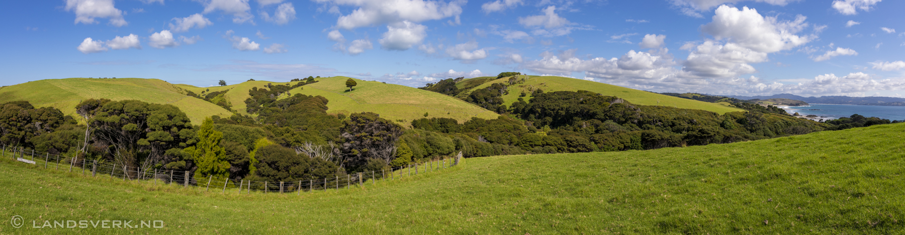 Tawharanui Regional Park, New Zealand.

(Canon EOS 5D Mark IV / Canon EF 24-70mm f/2.8 L II USM)