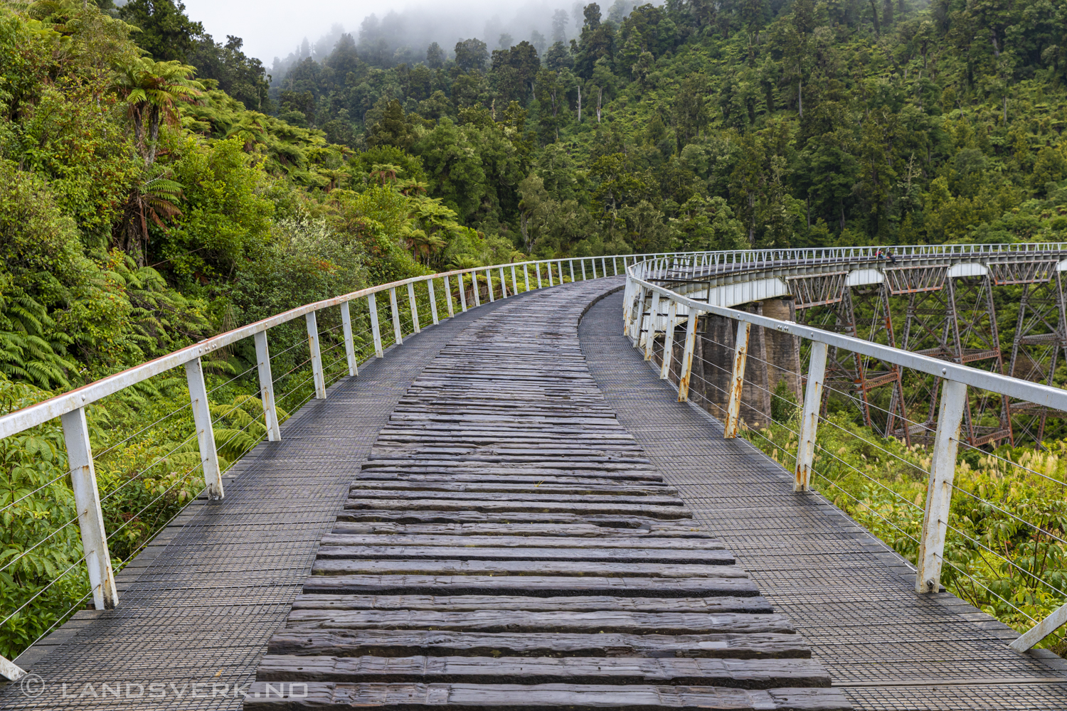 Old Coach Road, near Tongariro National Park, New Zealand. 

(Canon EOS 5D Mark IV / Canon EF 24-70mm f/2.8 L II USM)