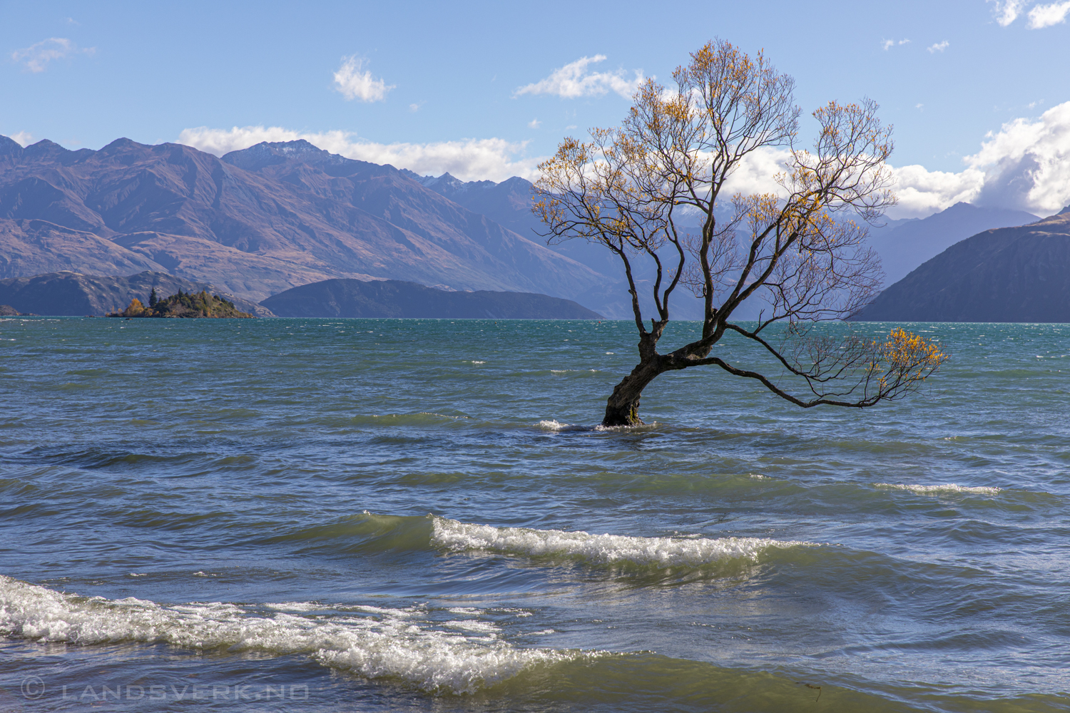 Wanaka, New Zealand. 

(Canon EOS 5D Mark IV / Canon EF 24-70mm f/2.8 L II USM)