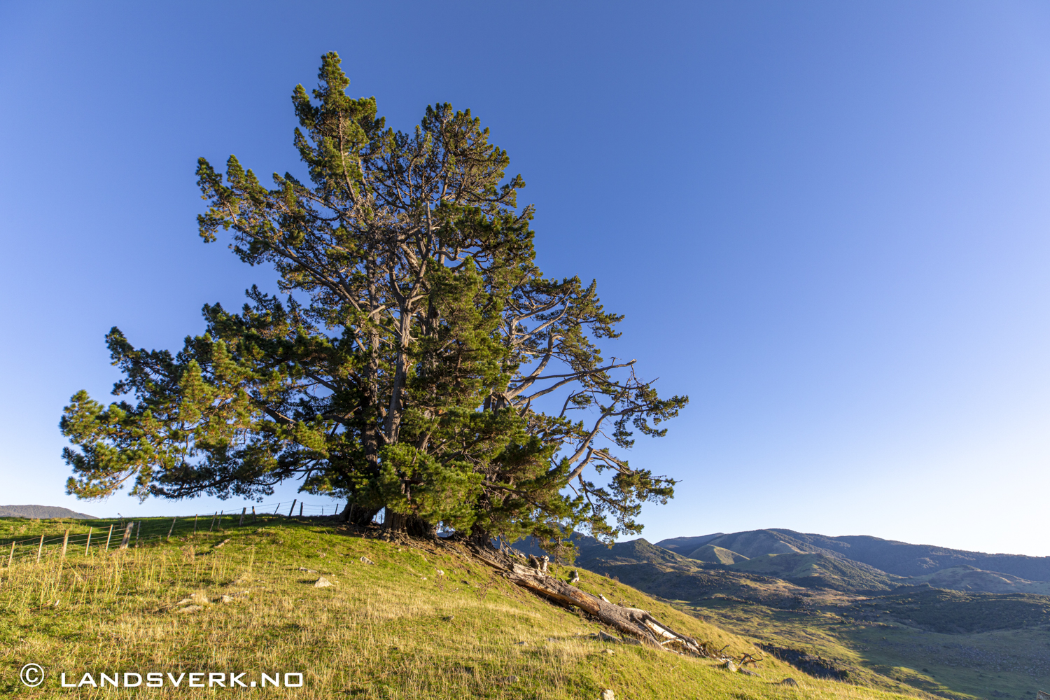 Between Kahurangi and Abel Tasman National Park, New Zealand. 

(Canon EOS 5D Mark IV / Canon EF 16-35mm f/2.8 L III USM)