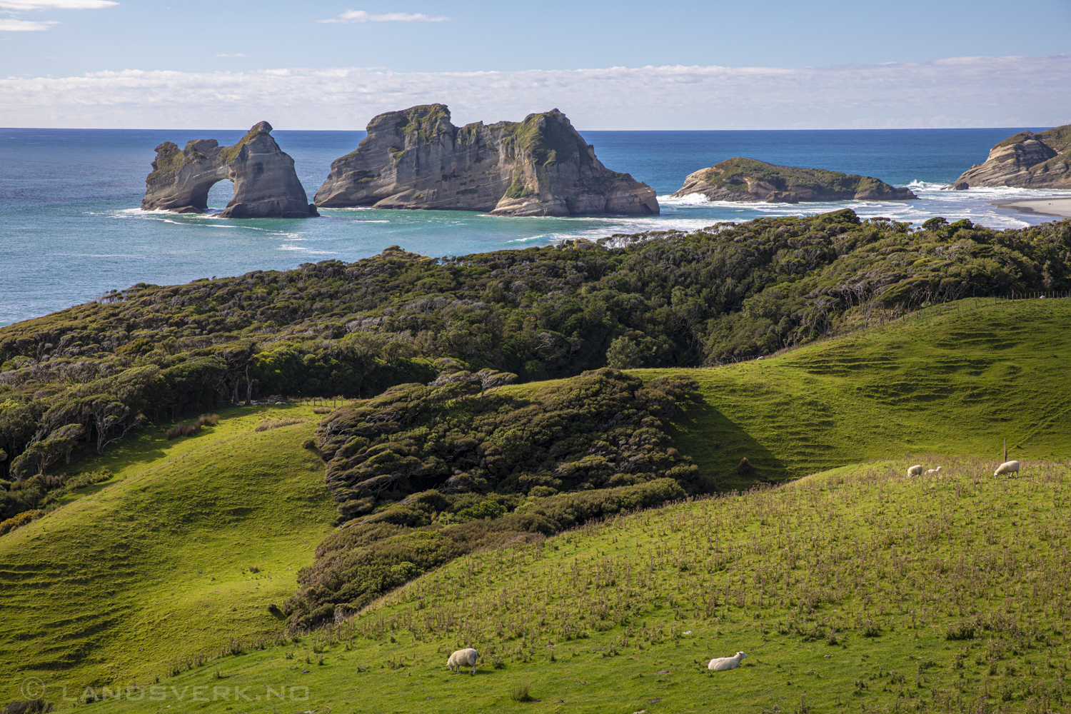 Wharakiri Beach, Takaka, New Zealand.

(Canon EOS 5D Mark IV / Canon EF 24-70mm f/2.8 L II USM)