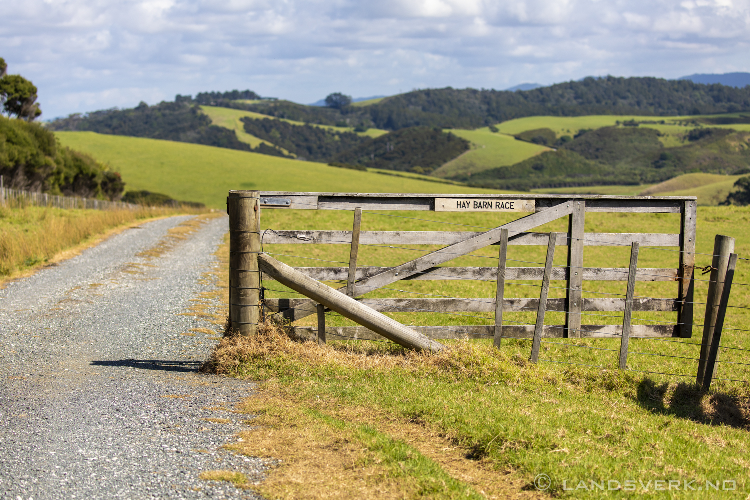 Tawharanui Regional Park, New Zealand.

(Canon EOS 5D Mark IV / Canon EF 100-400mm f/4.5-5.6 L IS II USM)