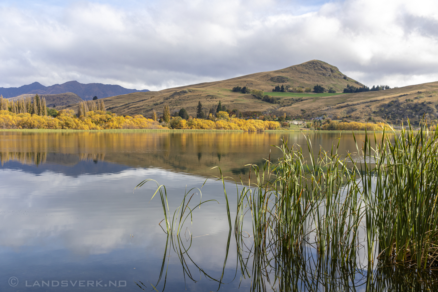 Lake Hayes, New Zealand. 

(Canon EOS 5D Mark IV / Canon EF 24-70mm f/2.8 L II USM)