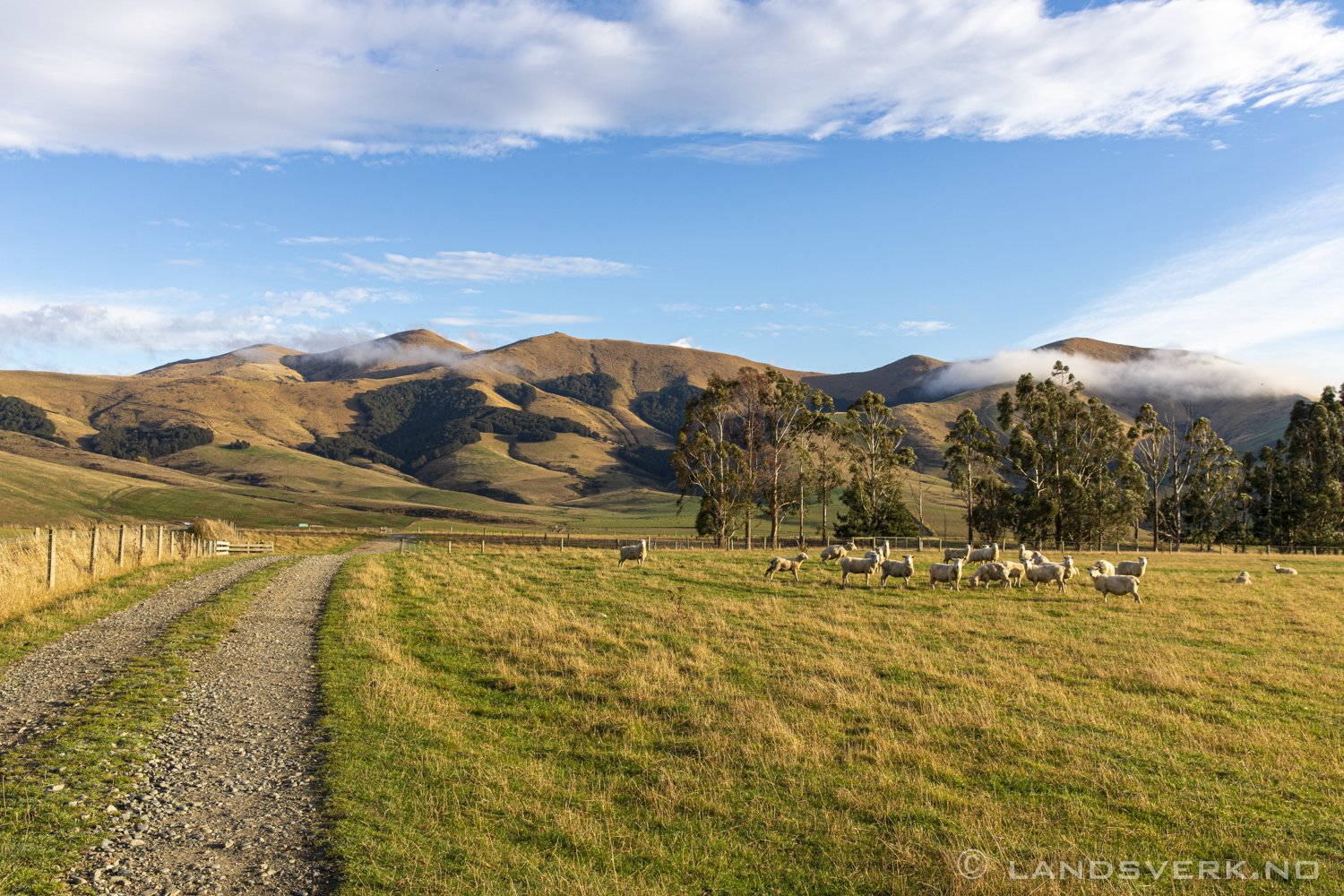 Between Te Anau and Queenstown, New Zealand. 

(Canon EOS 5D Mark IV / Canon EF 24-70mm f/2.8 L II USM)
