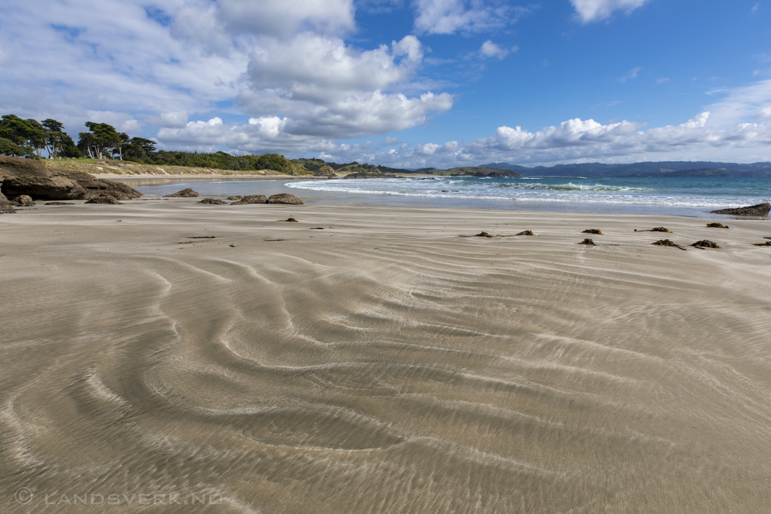 Anchor Bay, Tawharanui Regional Park, New Zealand.

(Canon EOS 5D Mark IV / Canon EF 16-35mm f/2.8 L III USM)