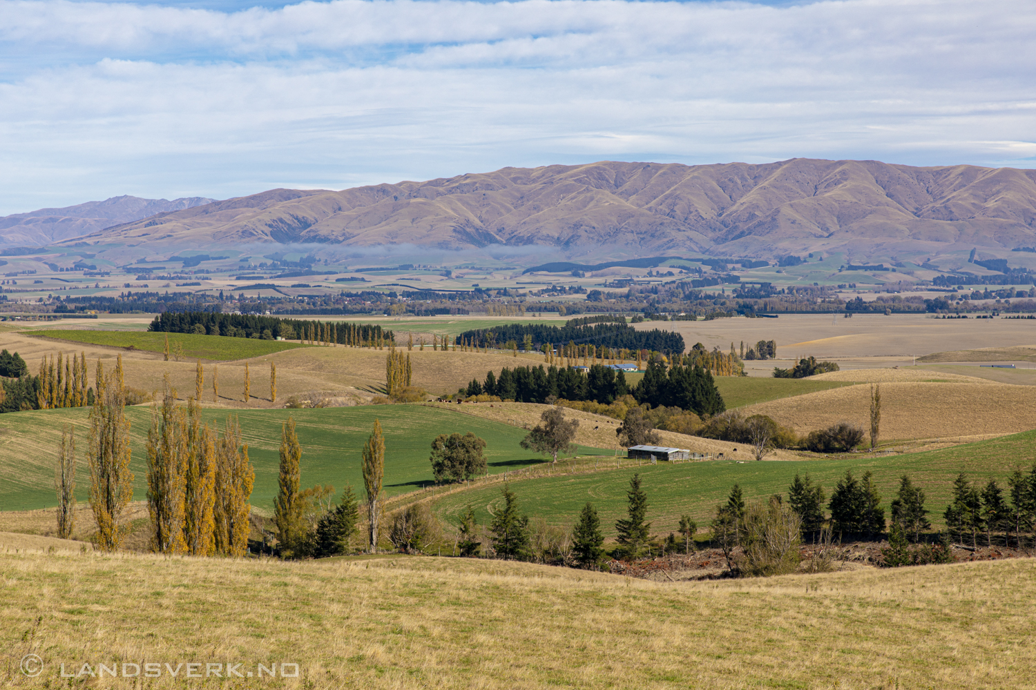 On the way to Lake Tekapo, New Zealand. 

(Canon EOS 5D Mark IV / Canon EF 24-70mm f/2.8 L II USM)