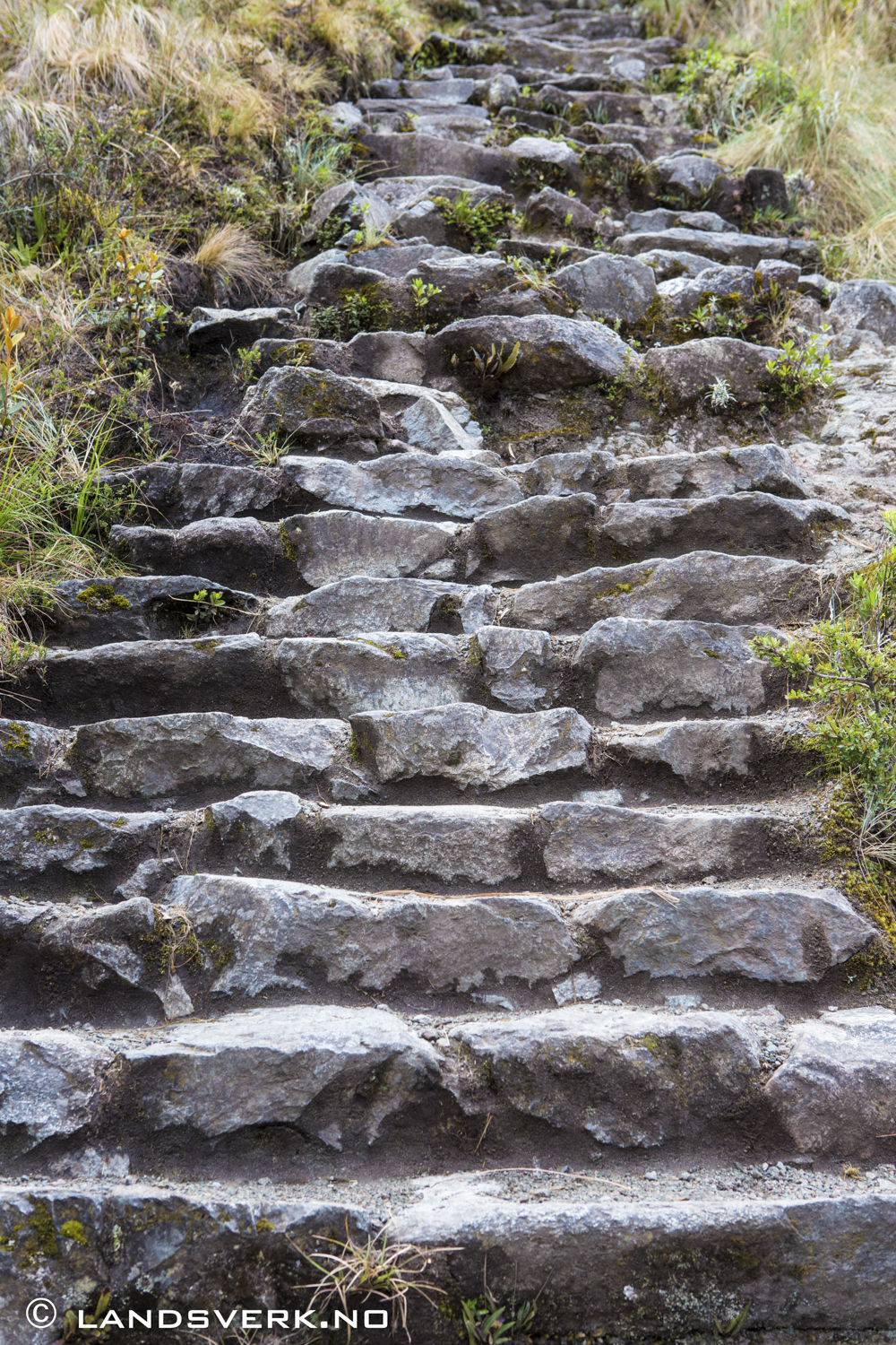 Thousands of stairs.. The Inka Trail to Machu Picchu, Peru. 

(Canon EOS 5D Mark III / Canon EF 24-70mm 
f/2.8 L USM)