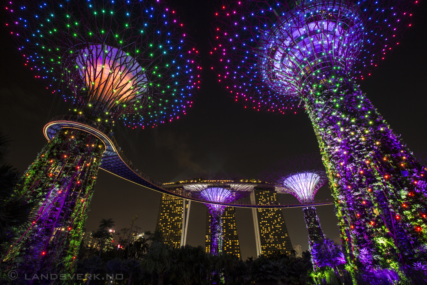 Super Tree Grove, Singapore. 

(Canon EOS 5D Mark III / Canon EF 16-35mm f/2.8 L II USM)