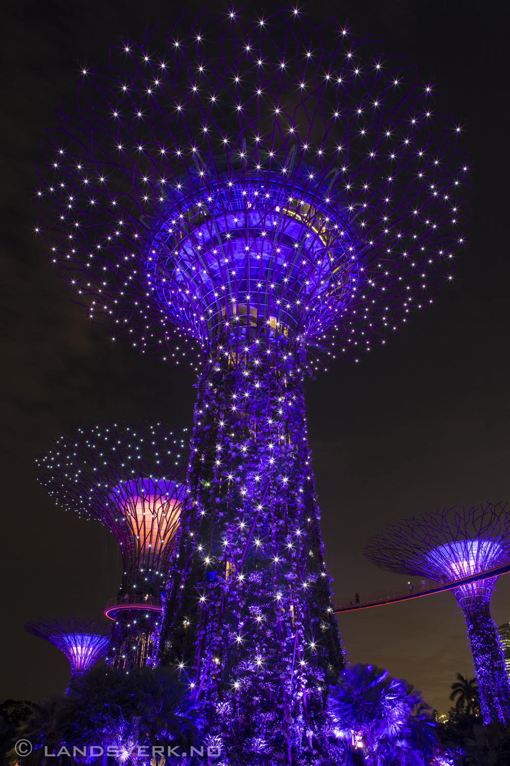 Super Tree Grove, Singapore. 

(Canon EOS 5D Mark III / Canon EF 24-70mm f/2.8 L USM)