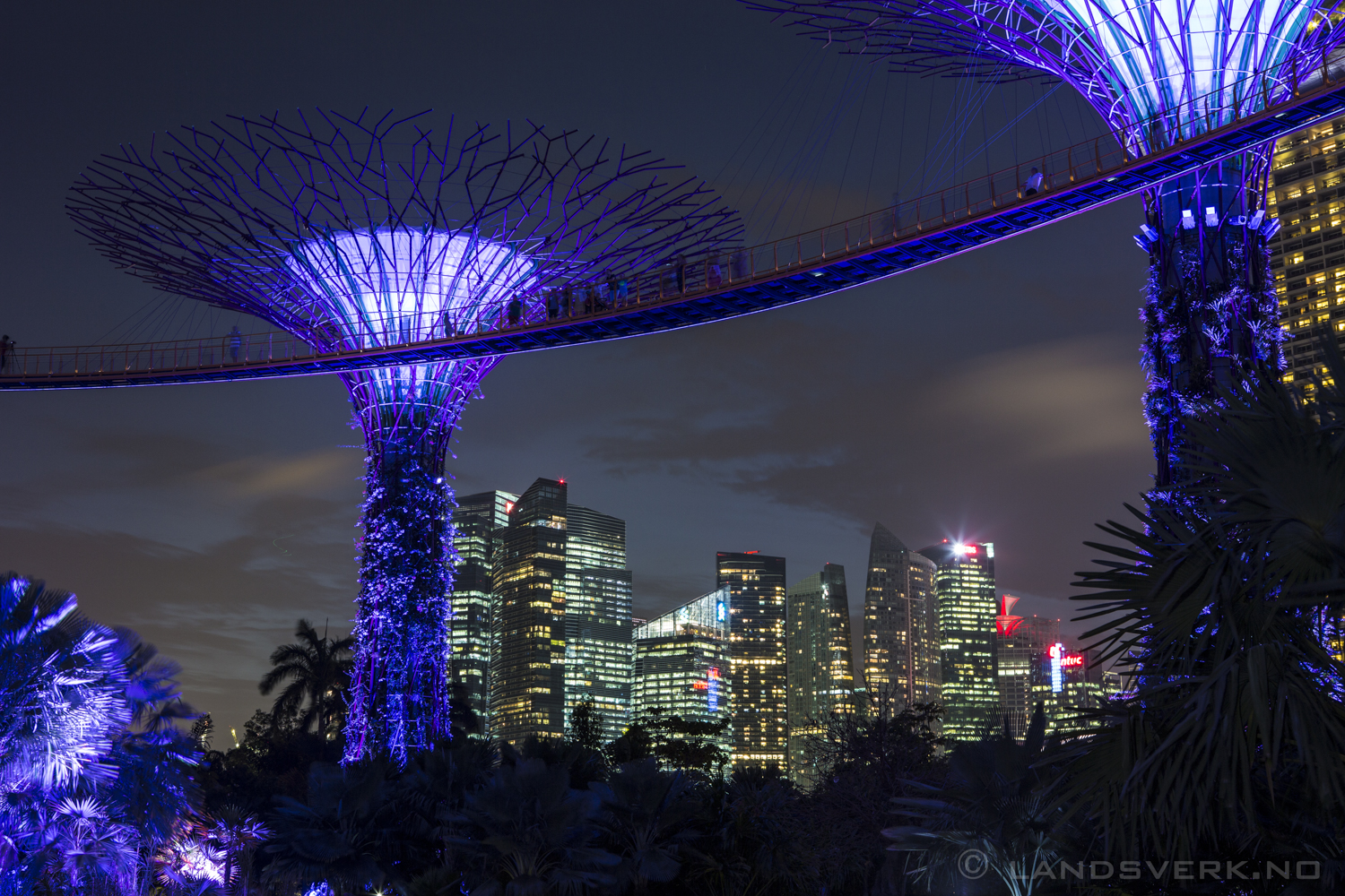 Super Tree Grove, Singapore. 

(Canon EOS 5D Mark III / Canon EF 24-70mm f/2.8 L USM)