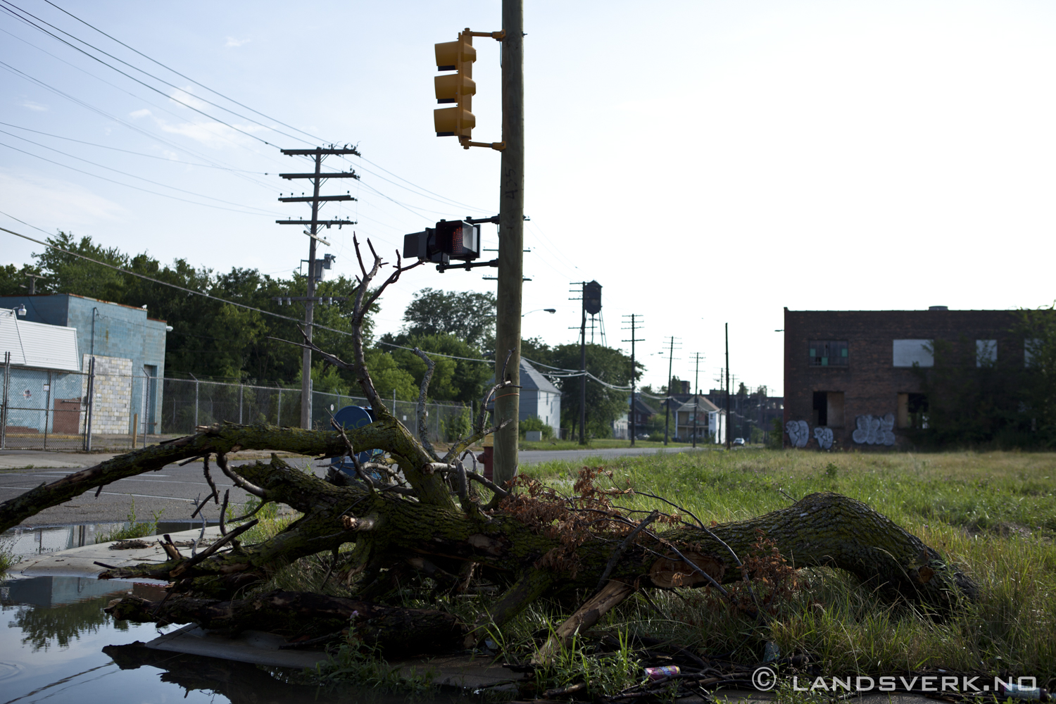 Detroit suburbs, Michigan. 

(Canon EOS 5D Mark II / Canon EF 24-70mm f/2.8 L USM)