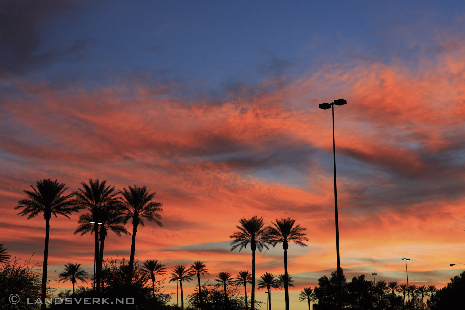Las Vegas, Nevada. 

(Canon EOS 5D Mark III / Canon EF 24-70mm f/2.8 L USM)