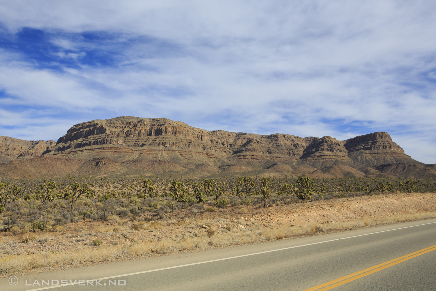 Arizona. 

(Canon EOS 5D Mark III / Canon EF 24-70mm f/2.8 L USM)