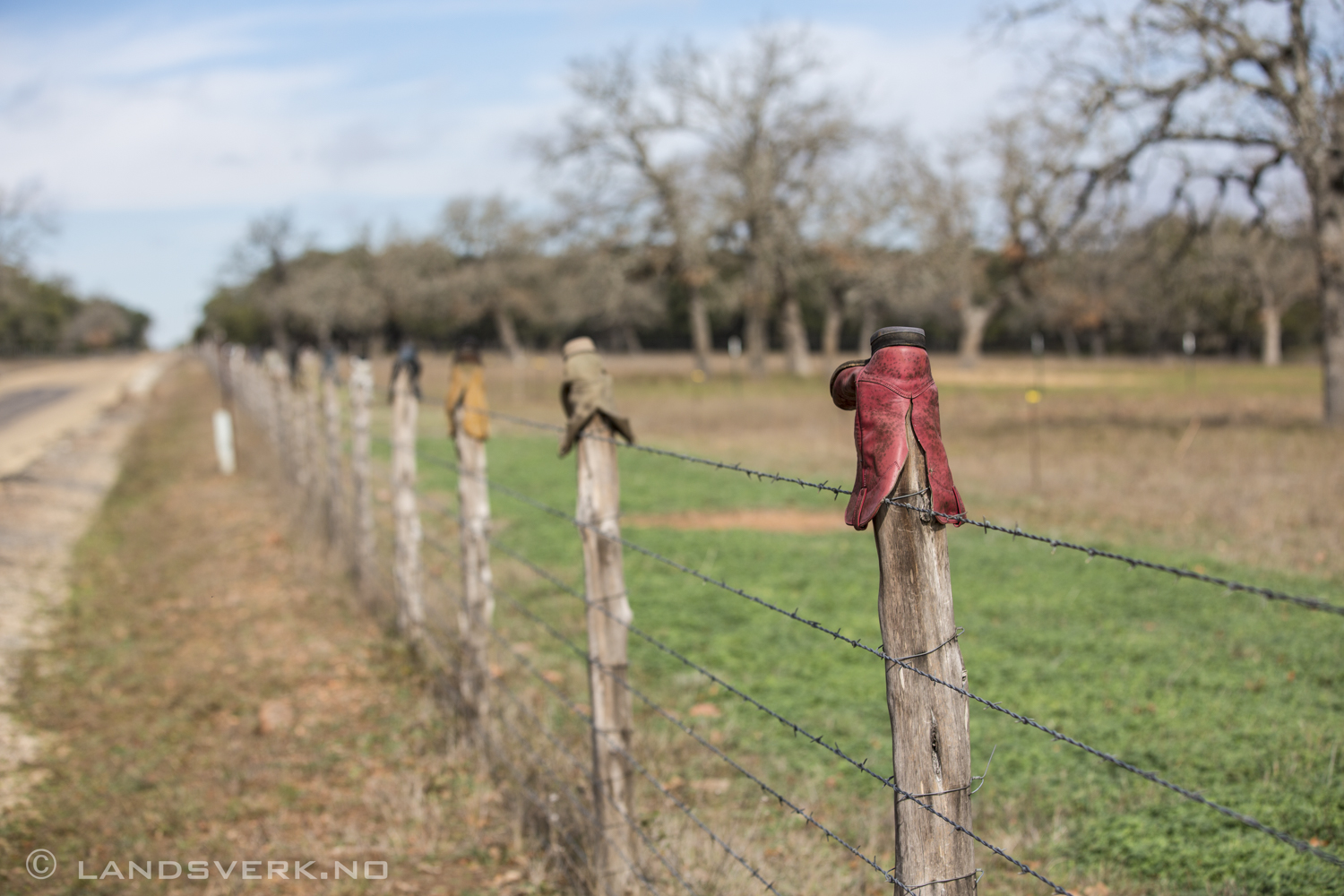 Texas Hill Country. 

(Canon EOS 5D Mark III / Canon EF 70-200mm f/2.8 L IS II USM)