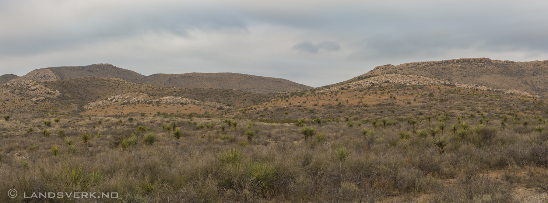 Somewhere in West Texas. 

(Canon EOS 5D Mark III / Canon EF 24-70mm f/2.8 L USM