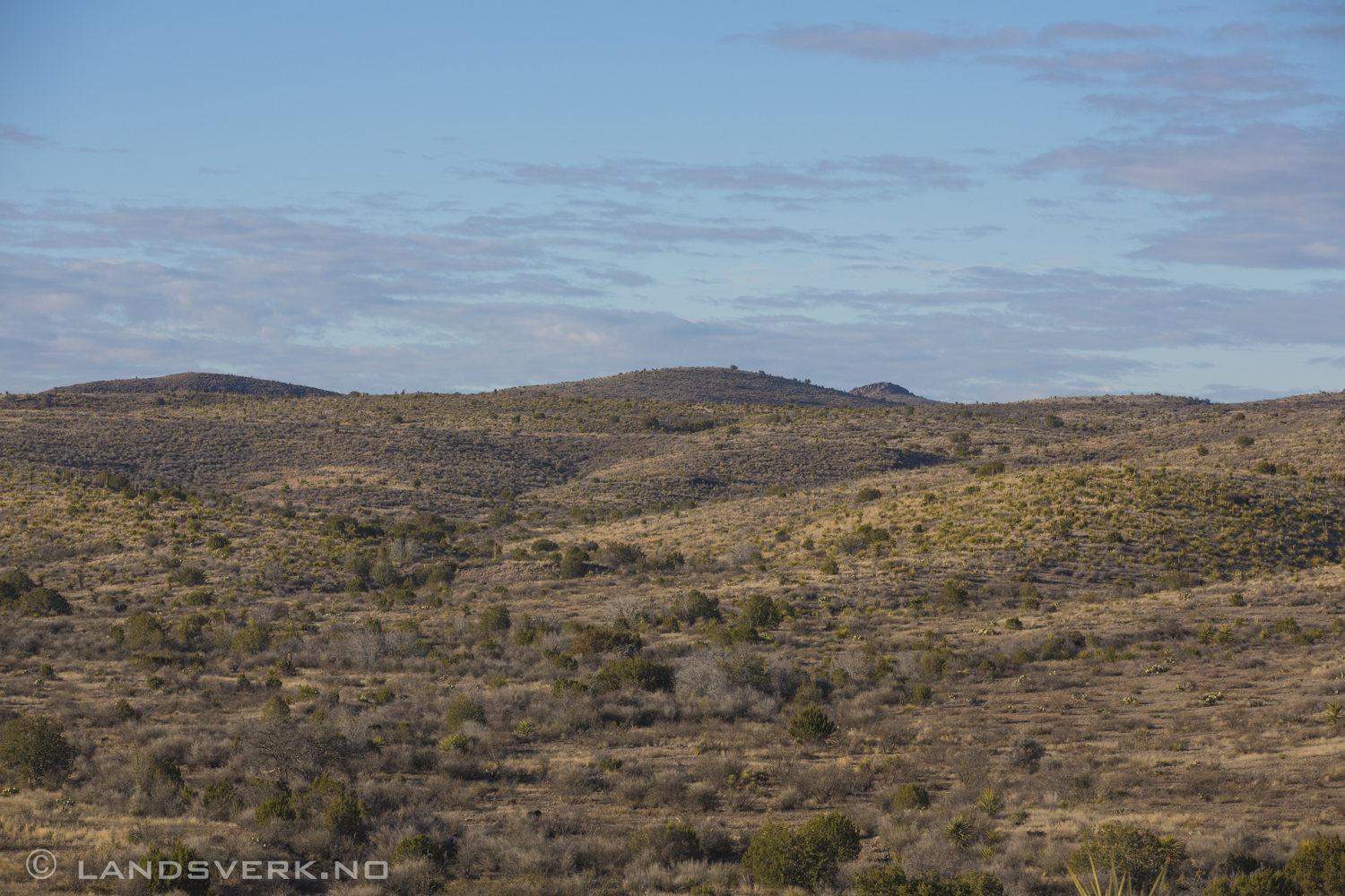 Driving home to Marfa from Shafter, Texas. 

(Canon EOS 5D Mark III / Canon EF 70-200mm f/2.8 L IS II USM)