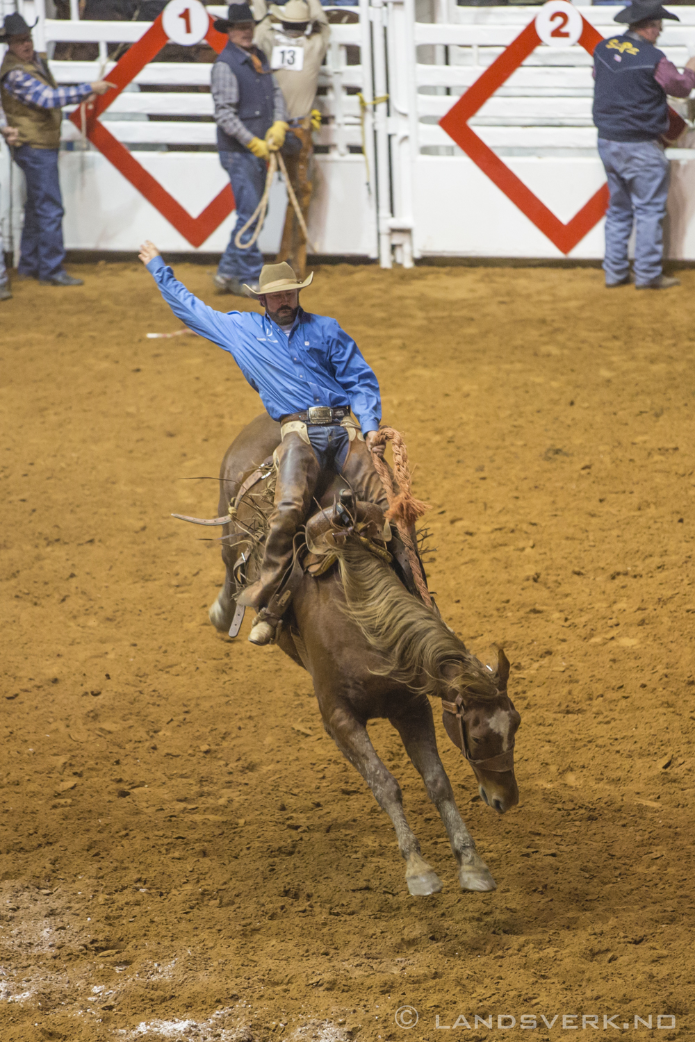 Fort Worth Stock Show & Rodeo, Texas. 

(Canon EOS 5D Mark III / Canon EF 70-200mm f/2.8 L IS II USM)