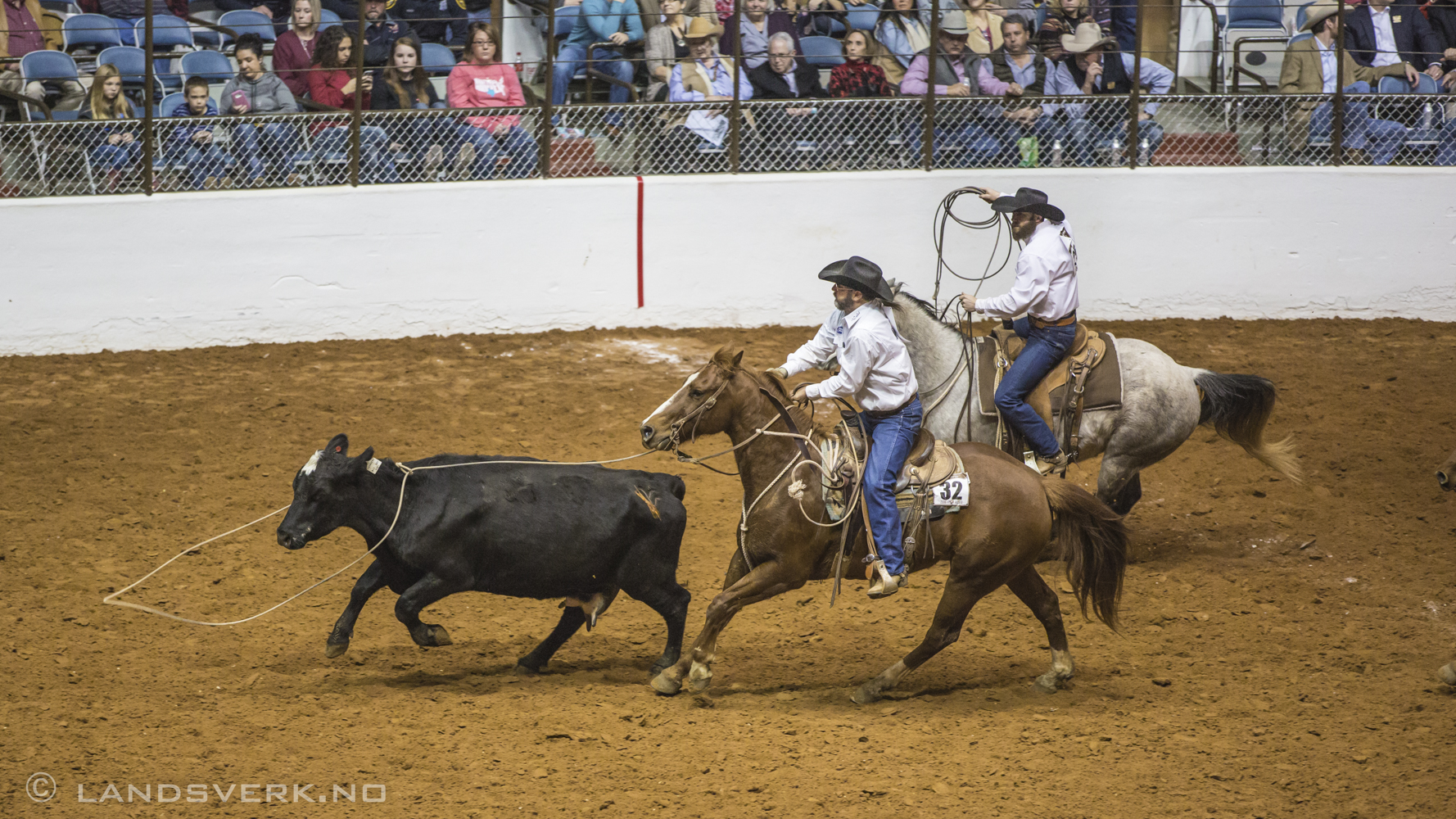 Fort Worth Stock Show & Rodeo, Texas. 

(Canon EOS 5D Mark III / Canon EF 70-200mm f/2.8 L IS II USM)