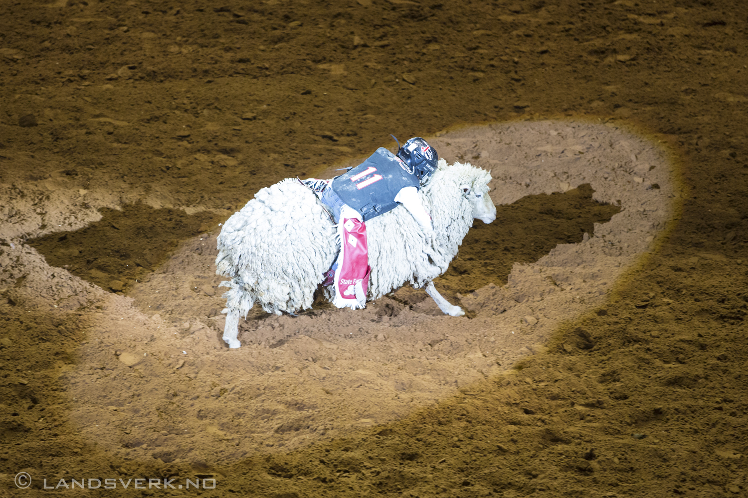 Sheep rodeo for kids. Fort Worth Stock Show & Rodeo, Texas. 

(Canon EOS 5D Mark III / Canon EF 70-200mm f/2.8 L IS II USM)