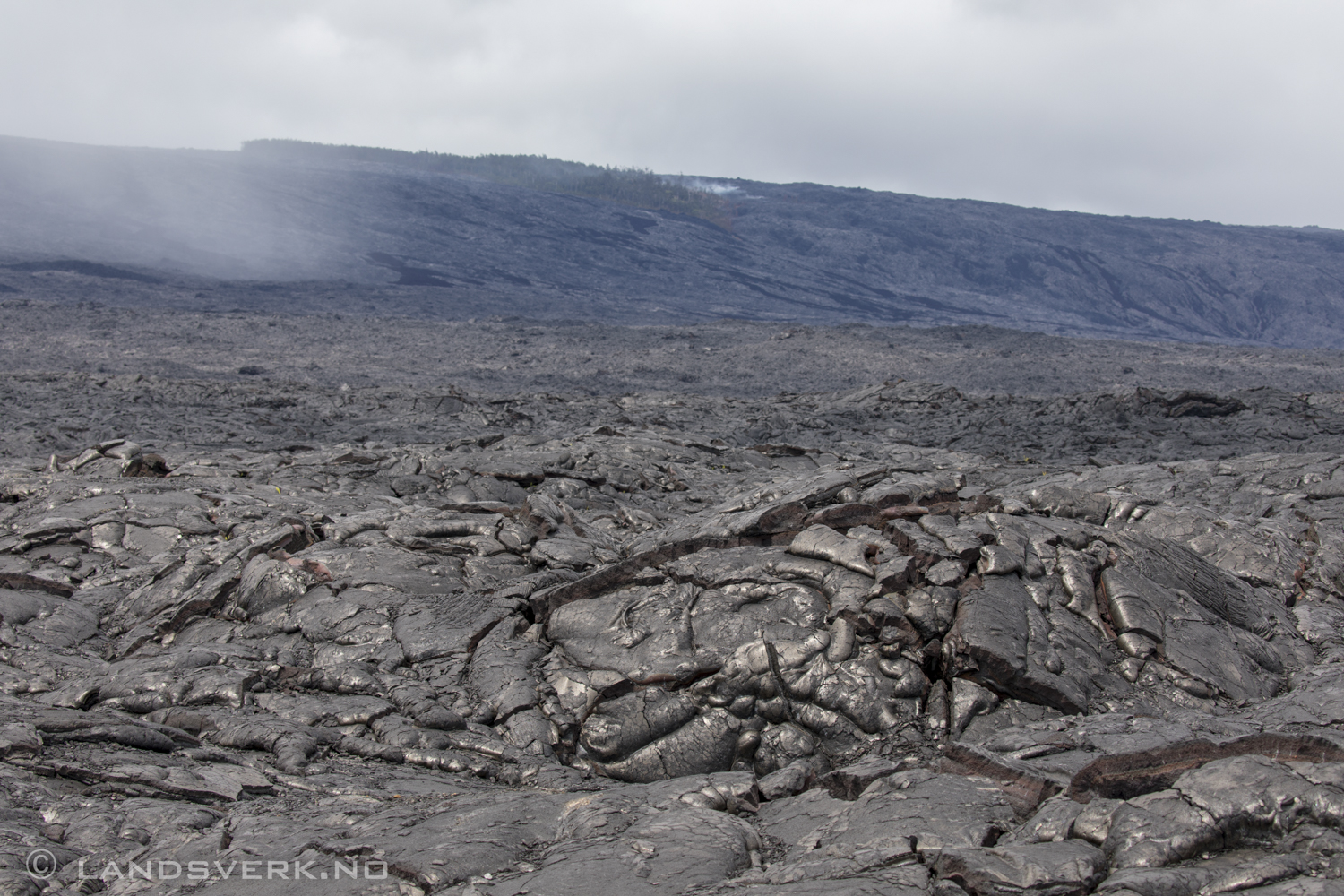 Solidified lava from the Kilauea East Rift Zone, Kalapana, Big Island, Hawaii. 

(Canon EOS 5D Mark IV / Canon EF 100-400mm f/4.5-5.6 L IS II USM)